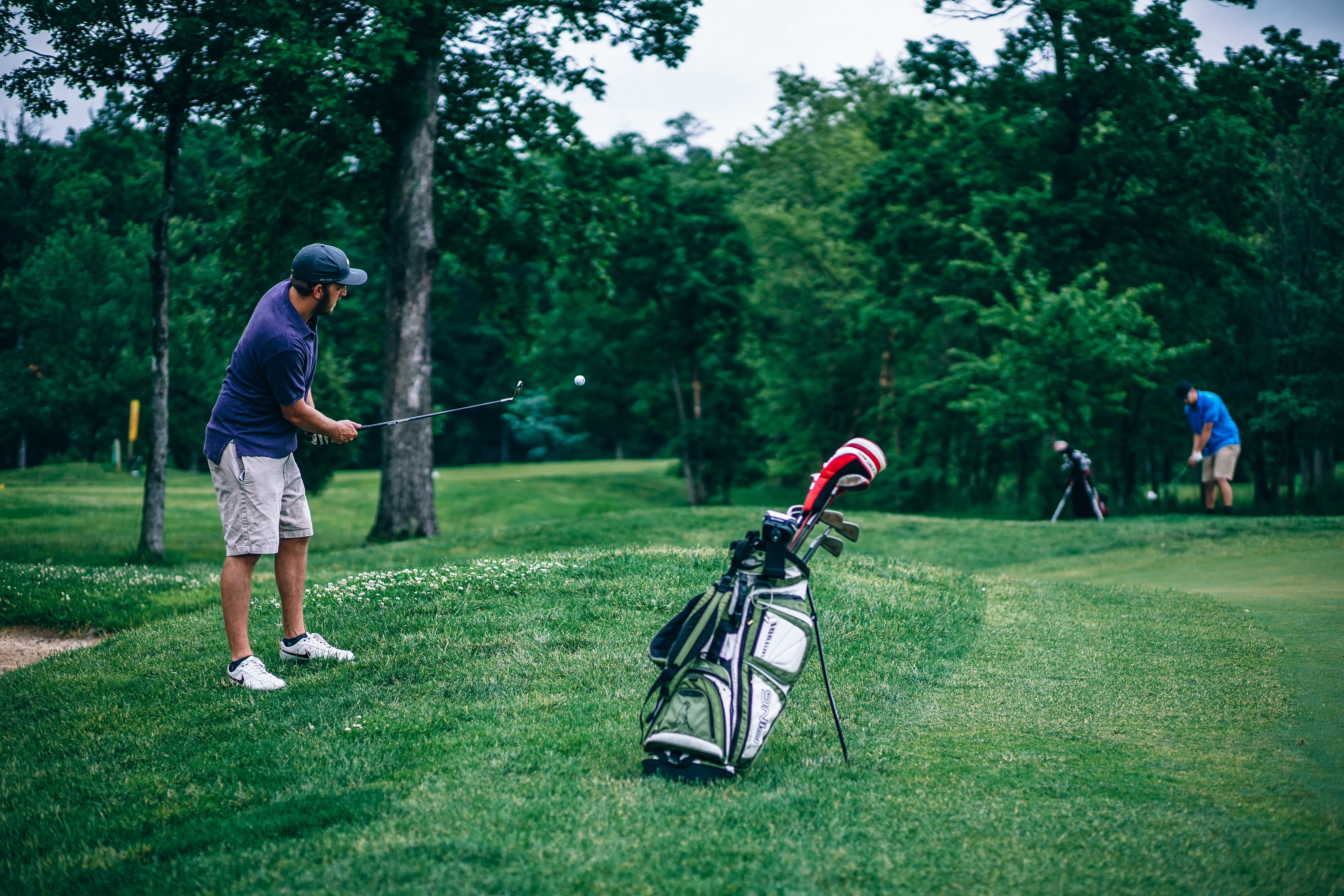 5K, green - golf course, daytime, full length, golf, grass, golf bag, sport, lifestyles, caucasian Ethnicity, man, golfer, tree, people, summer, group of people, HD Wallpaper