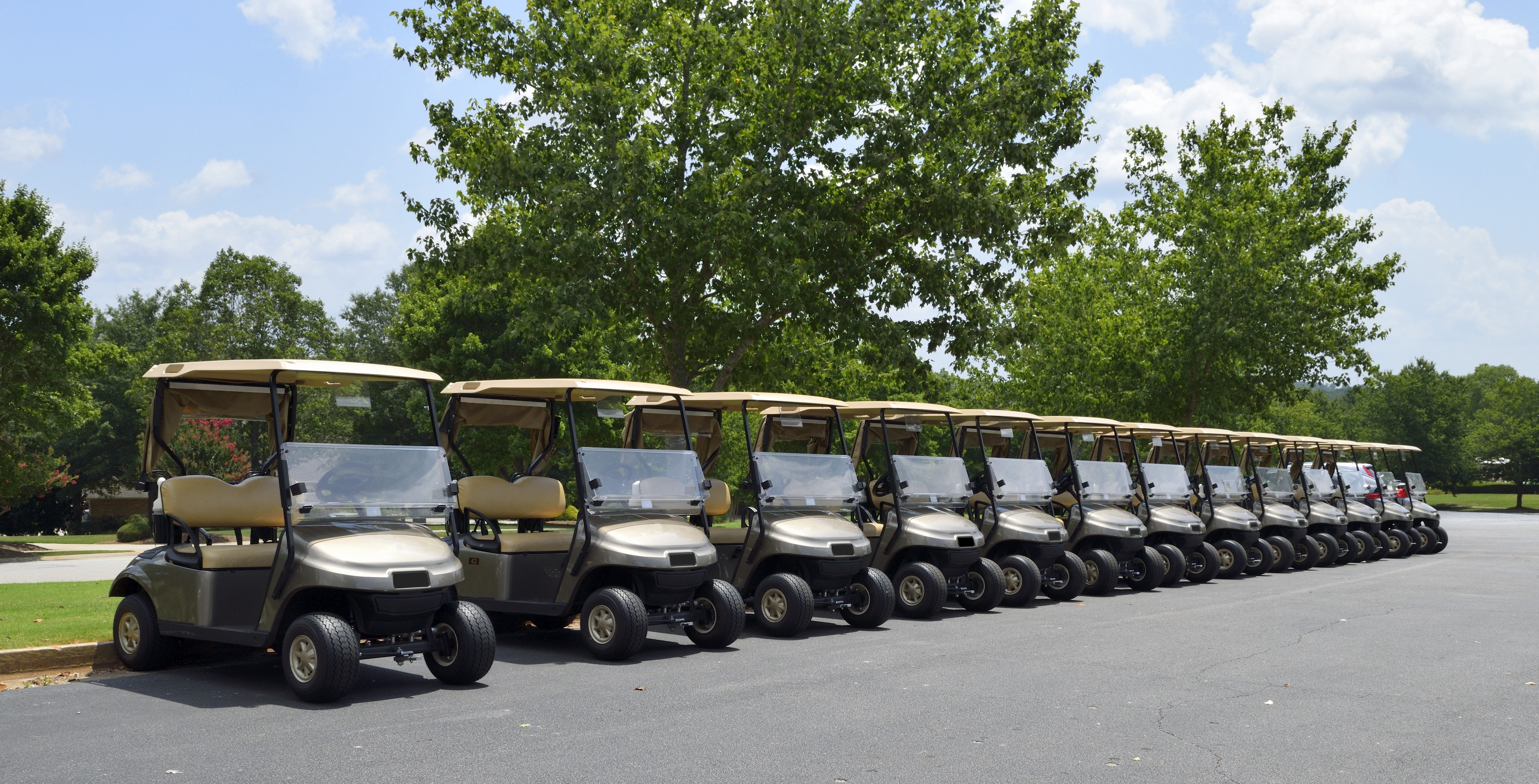 flag, golf cart, land vehicle, green, in a row, golfer, tree, outdoors, nature, caddy, sky, transportation, daytime, mode of transportation, tee, competition, HD Wallpaper
