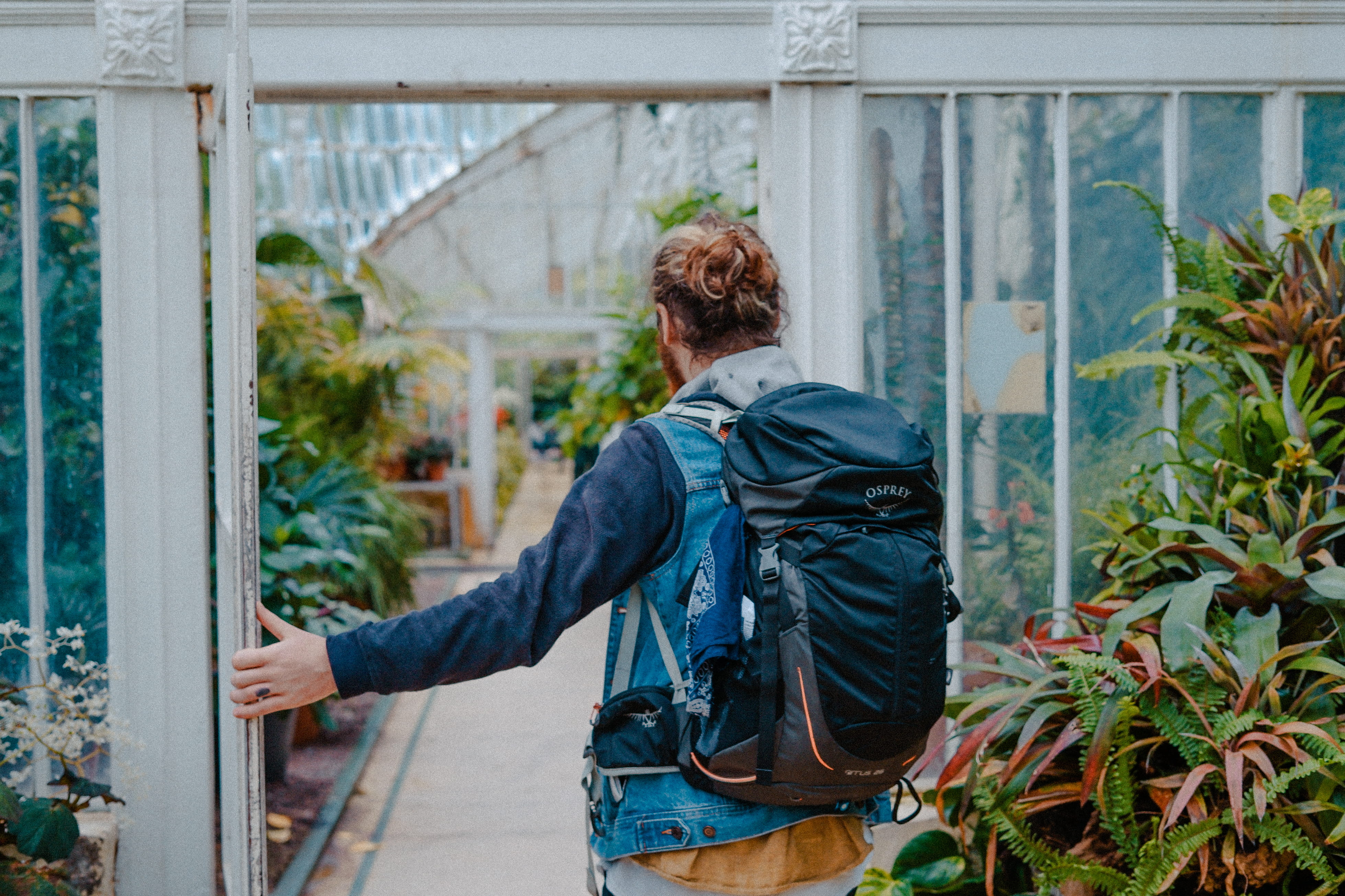 denim, outdoors, near, backpack, green, hike, finger tattoo, rear view, going, real people, one person, flower, door, architecture, glasshouse, lifestyles, HD Wallpaper
