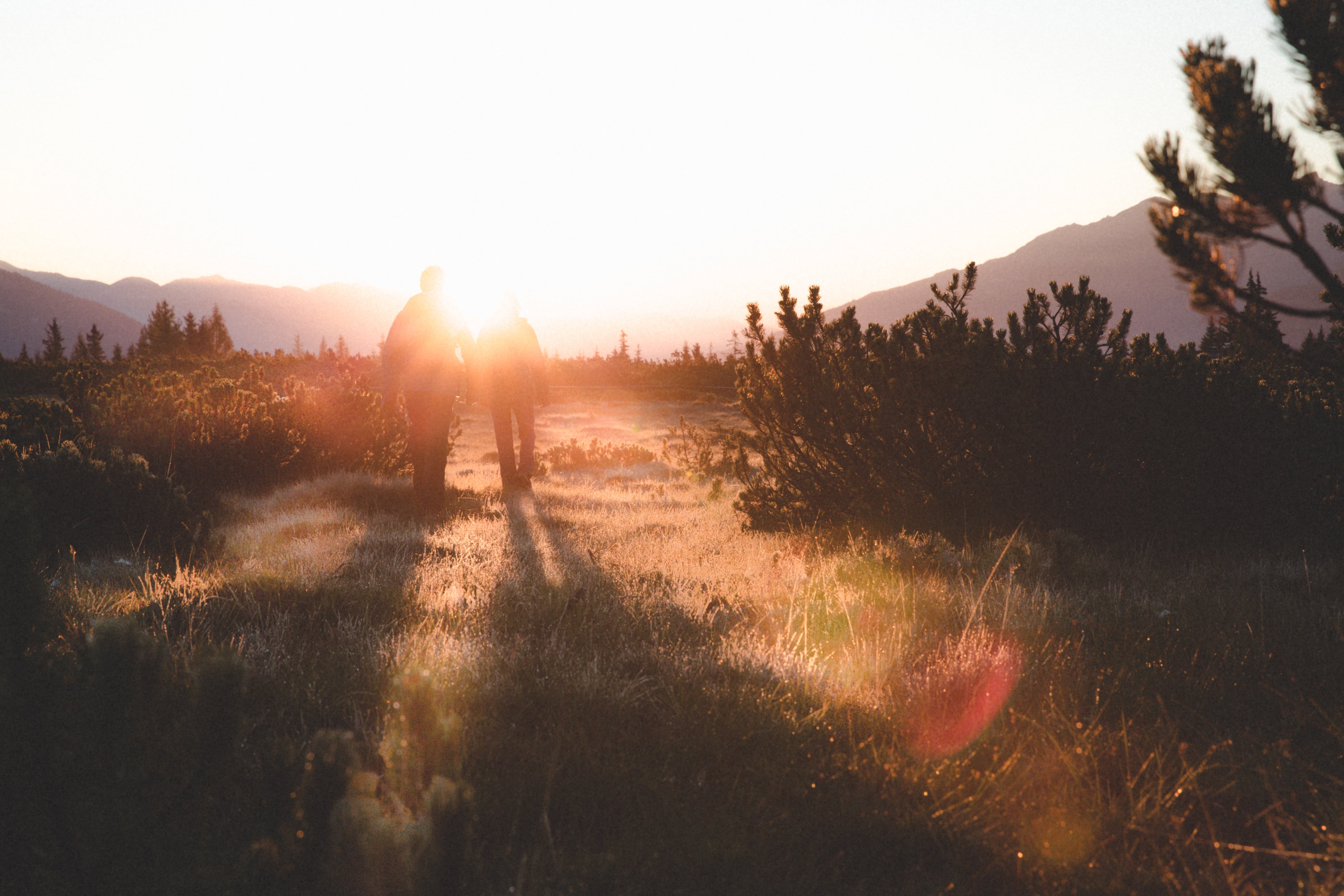grass, summit, daytime, sunlight, sky, person, people, scenics - nature, landscape, unto, lens flare, tree, woman, sunset, fog, ridge, plant, 5K, day, HD Wallpaper