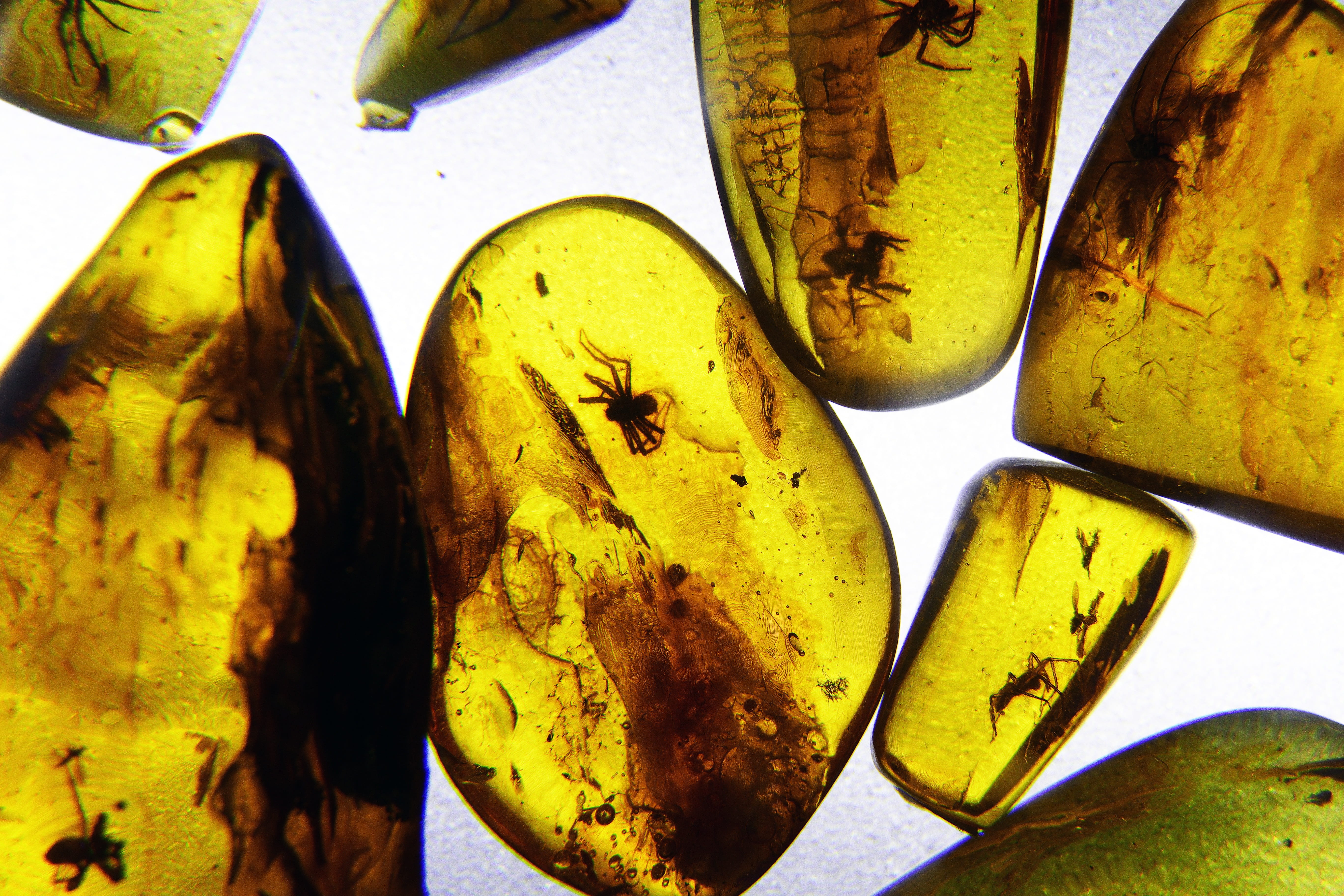 yellow, magnification, art and craft, inclusions, transmitted light, directly above, high angle view, old, rusty, indoors, healthcare and medicine, still life, HD Wallpaper