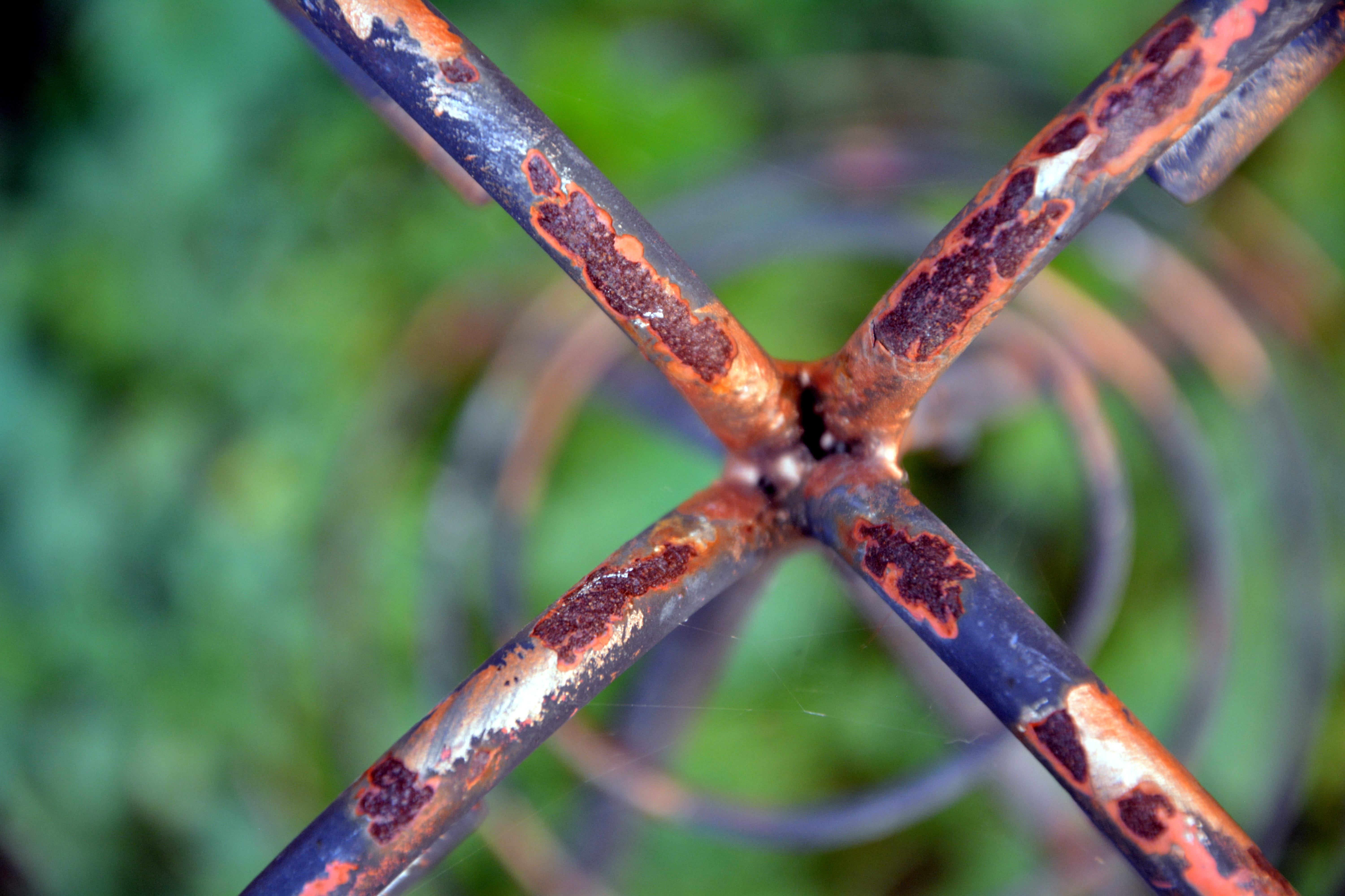 focus on foreground, decline, safety, outdoors, 5K, day, rusty, selective focus, old, no people, fence, ironwork, one animal, weathered, deterioration, HD Wallpaper