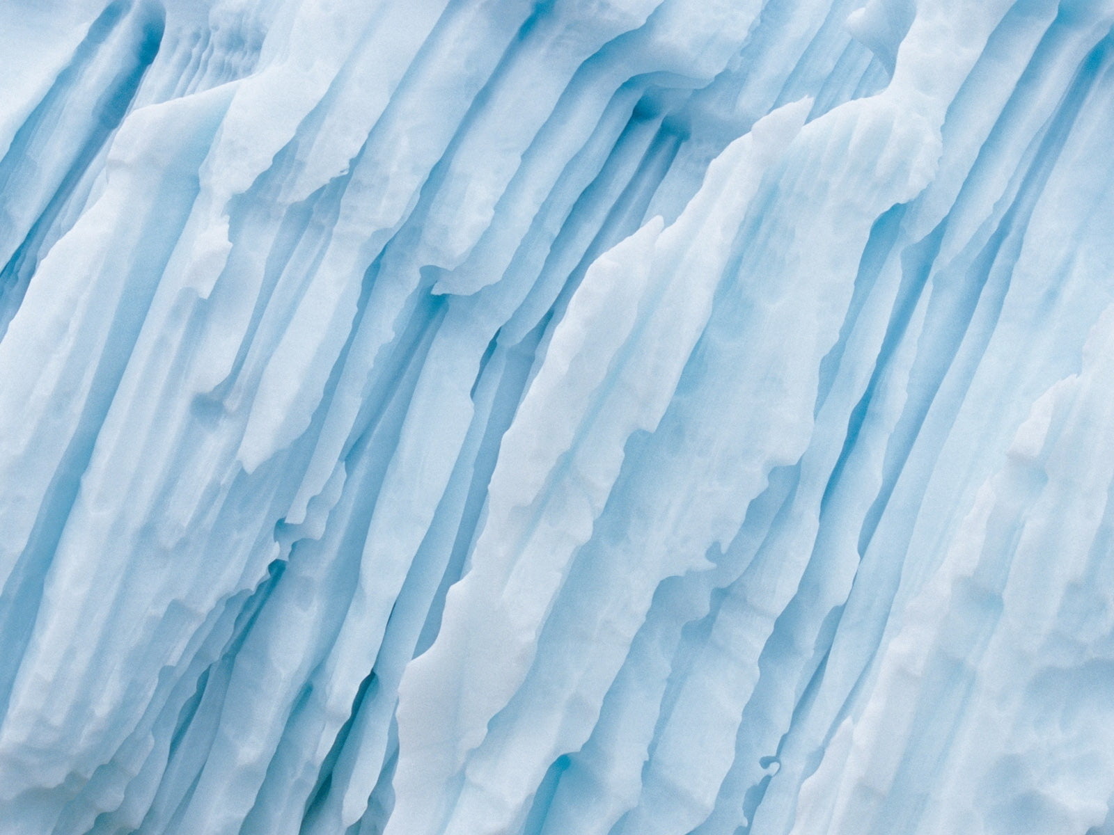 textured effect, textured, outdoors, glacier, white, berg, full frame, backgrounds, no People, nature, cold - Temperature, winter, white color, macro, environment, HD Wallpaper
