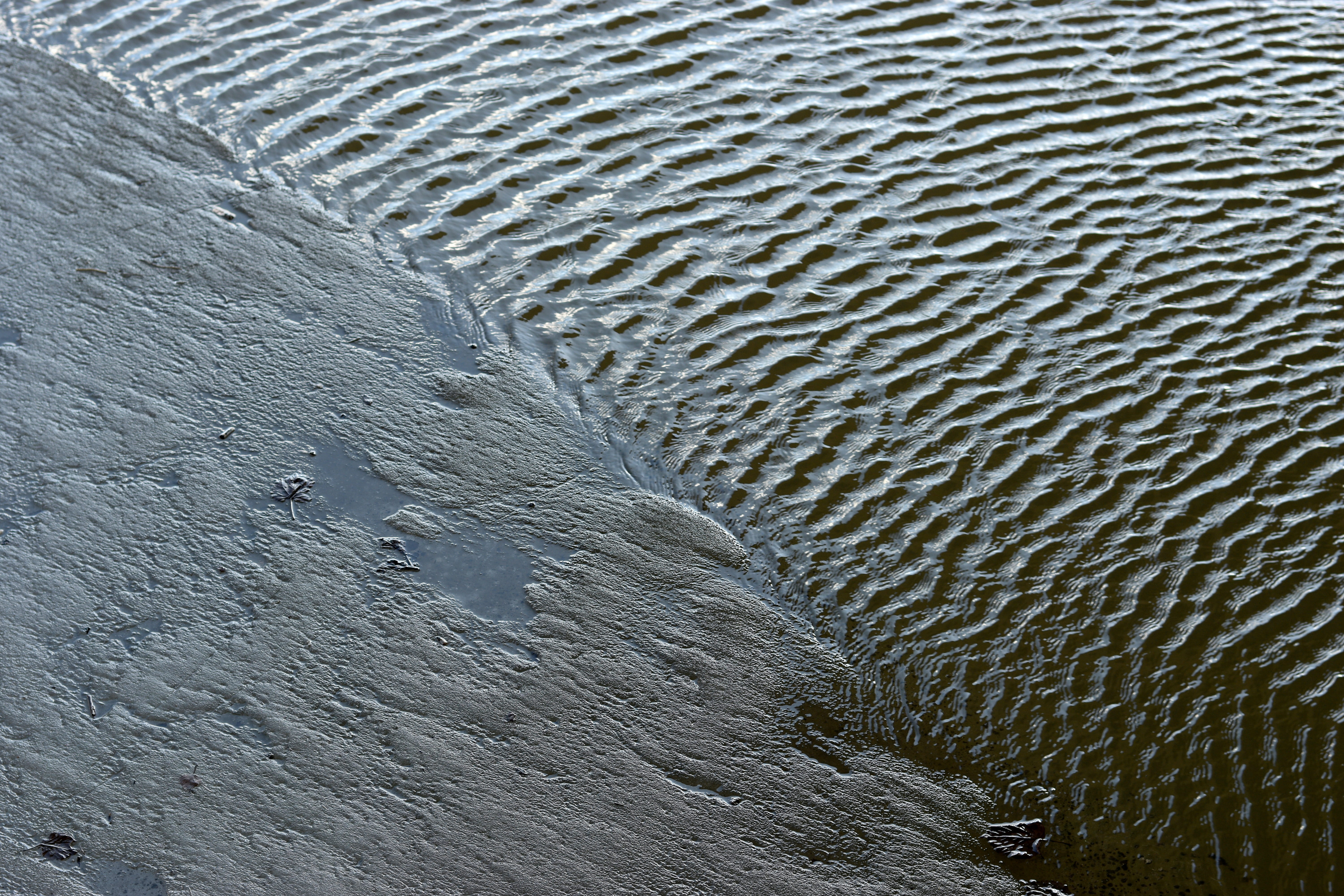 river, 5K, anhinga, animal, close-up, smelt, ripple, textured, animal wildlife, natural pattern, water, no people, animal themes, ground, beach, high angle view, HD Wallpaper