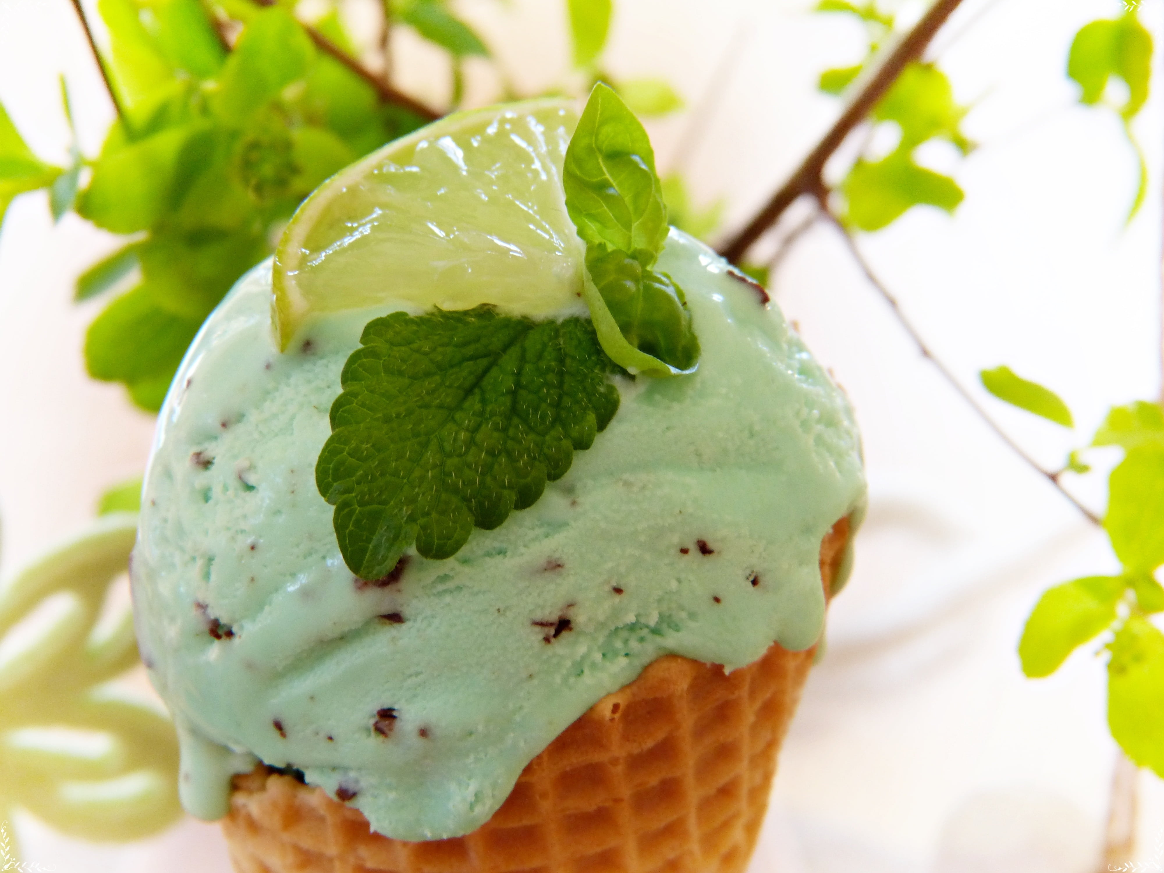 plant part, close-up, sweet Food, frozen food, holiday, stevia, ice cream cone, melt, leaf, garnish, mint, herb, ice, food, freshness, lime, lemon, spring, HD Wallpaper