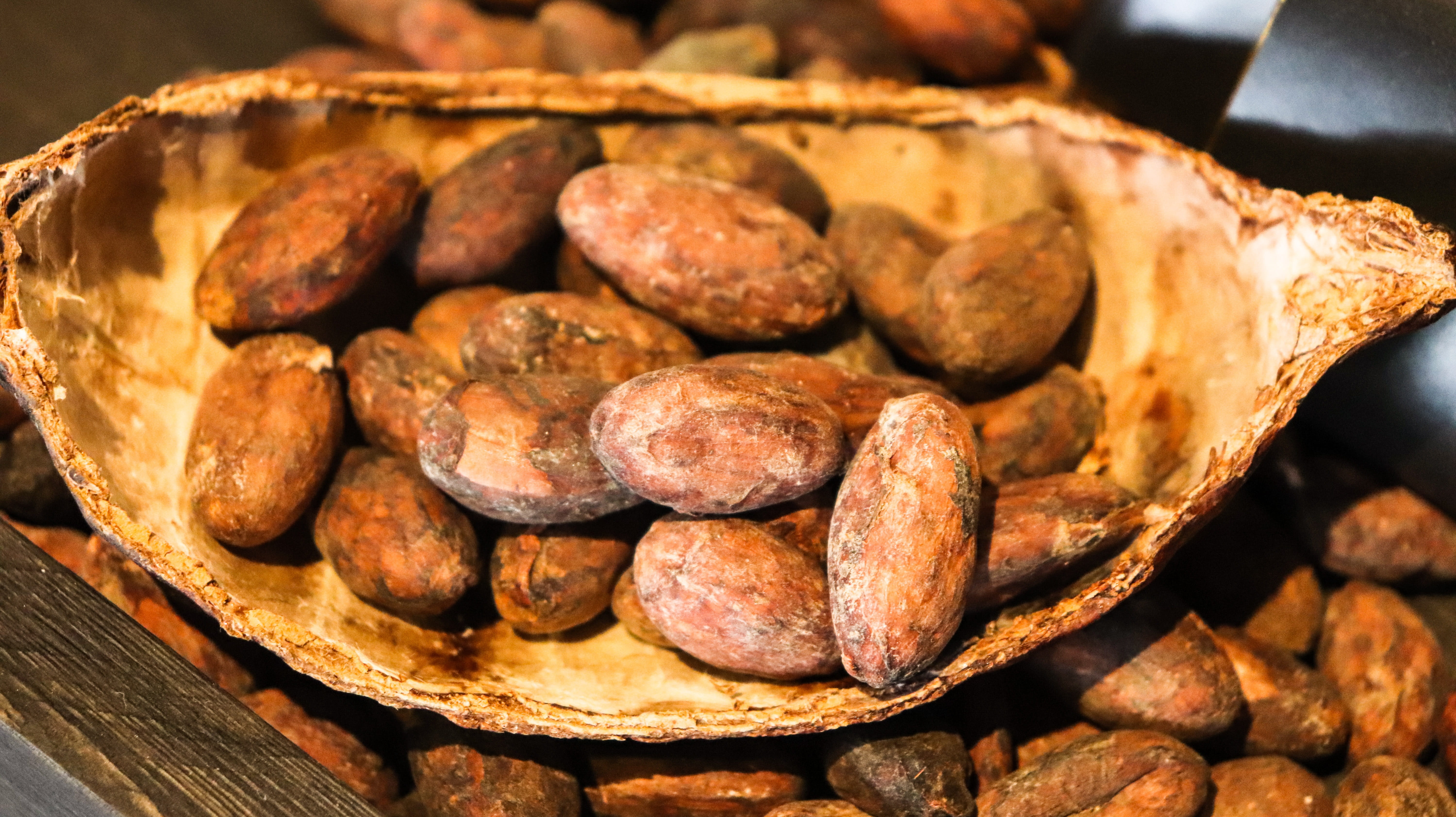 selective focus, brown, freshness, close-up, large group of objects, indoors, 5K, wellbeing, healthy eating, no people, food, bean, meat, chocolate, focus on foreground, HD Wallpaper
