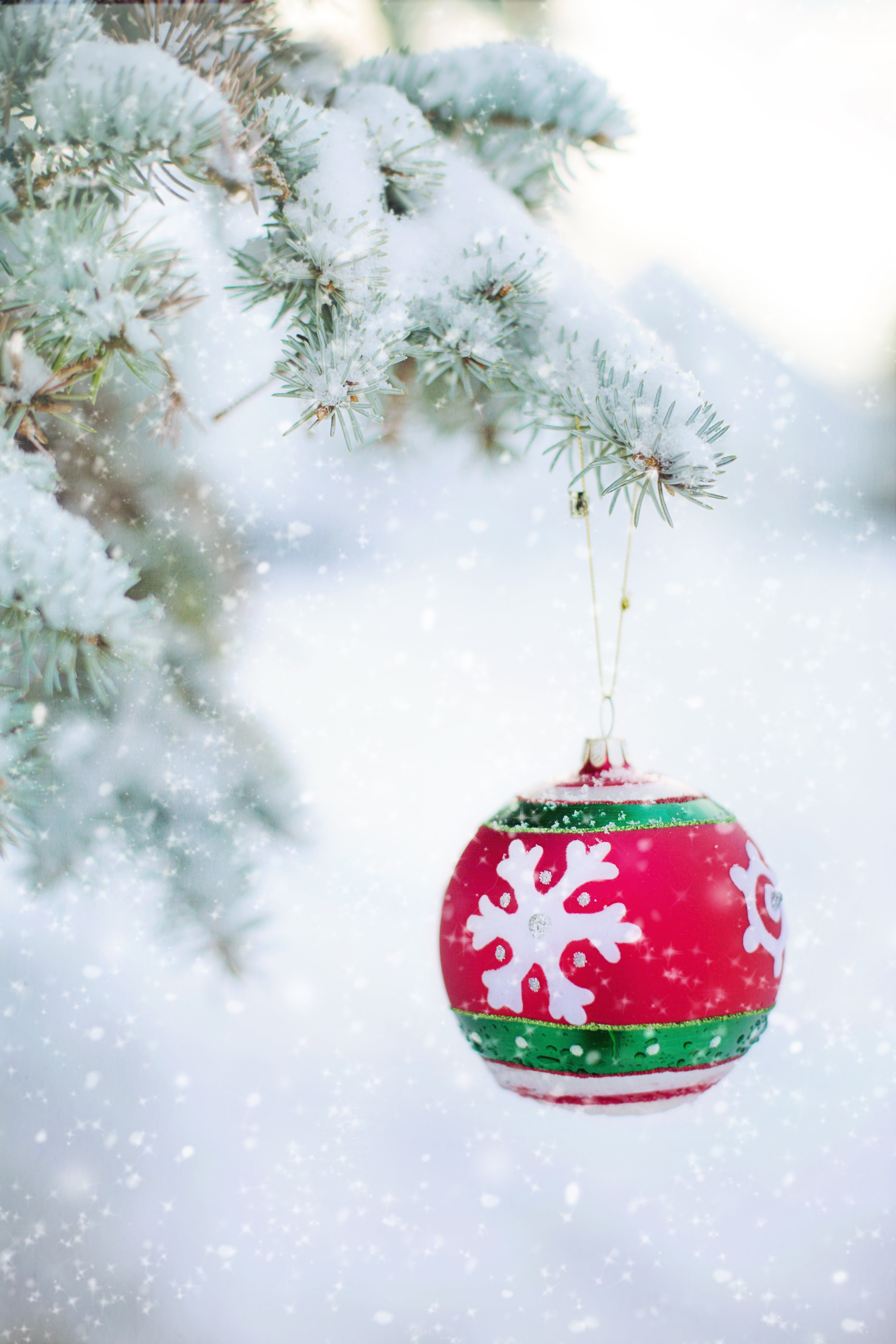 bulb, festive, ball, spruce, decoration, tree, bauble, holiday - event, cold temperature, celebration event, ornament, green, outdoors, plant, pine tree, Phone HD Wallpaper