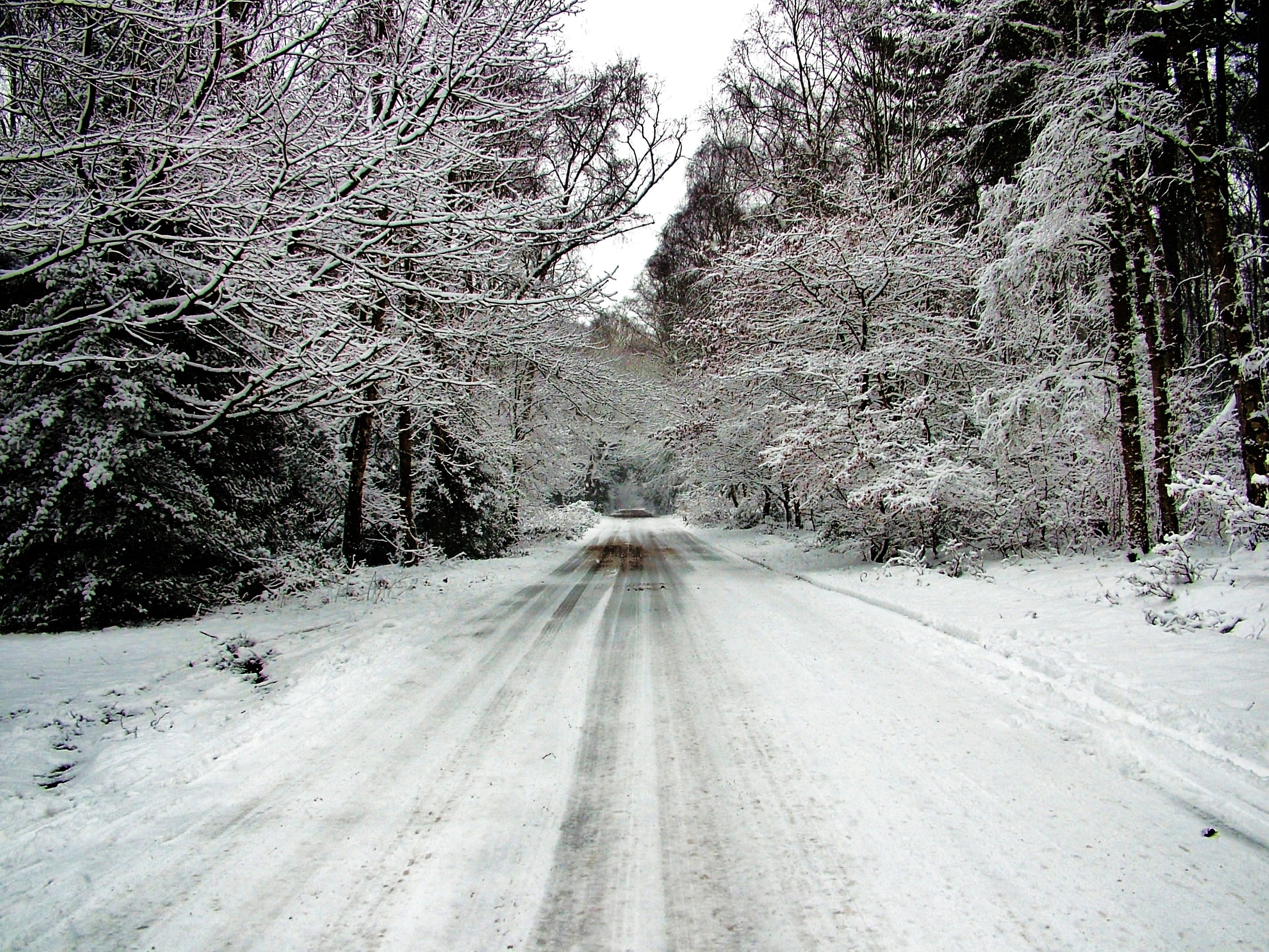 space, white, tranquil scene, snowing, vintage, christmas, blue, snow background, tranquility, forest, wood, nature, day, landscape, road, cold, direction, HD Wallpaper