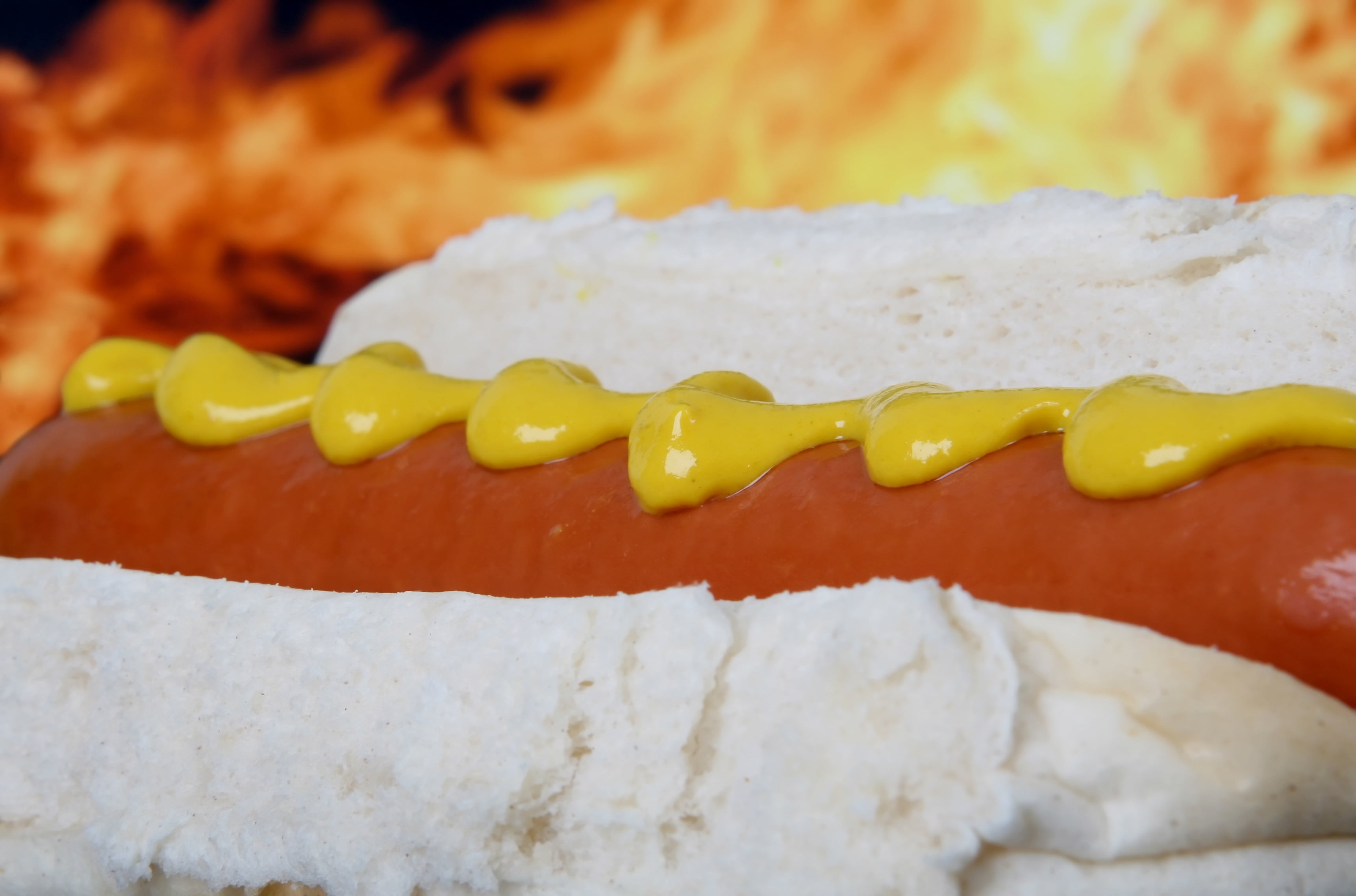 temptation, charbroiled, sandwich, fresh, roll, color, hot, red, flame, brown, gourmet, wiener, hot Dog, still life, cooked, junkfood, kitchen, fast, indoors, HD Wallpaper