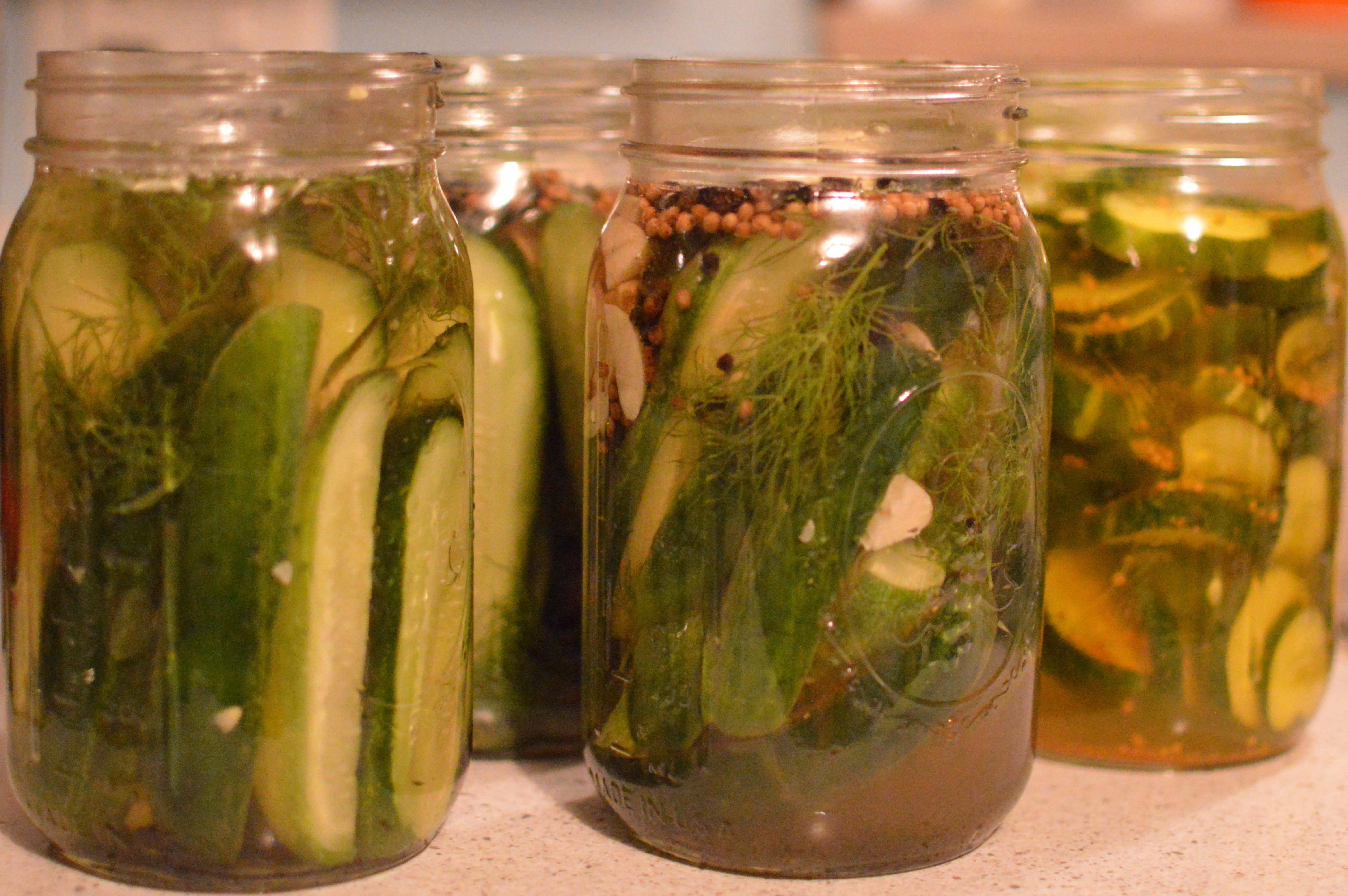 preserved, green color, mason jar, variation, herb, spice, transparent, container, 5K, vegetable, glass - material, cucumber, mint leaf - culinary, no people, HD Wallpaper