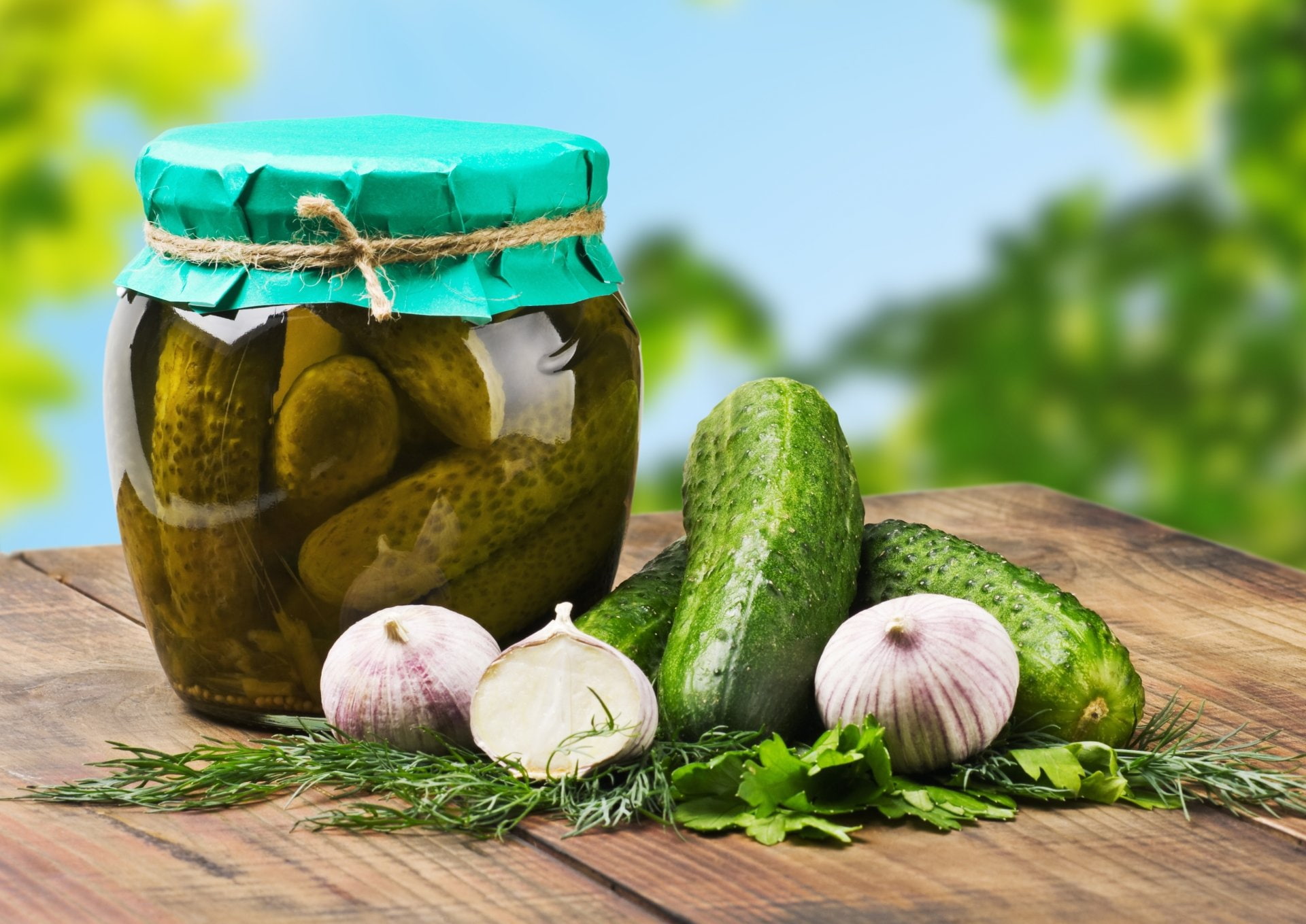 table, plant, container, green color, herb, vegetable, focus on foreground, wood - material, nature, food and drink, 1080P, ingredient, wellbeing, no people, HD Wallpaper