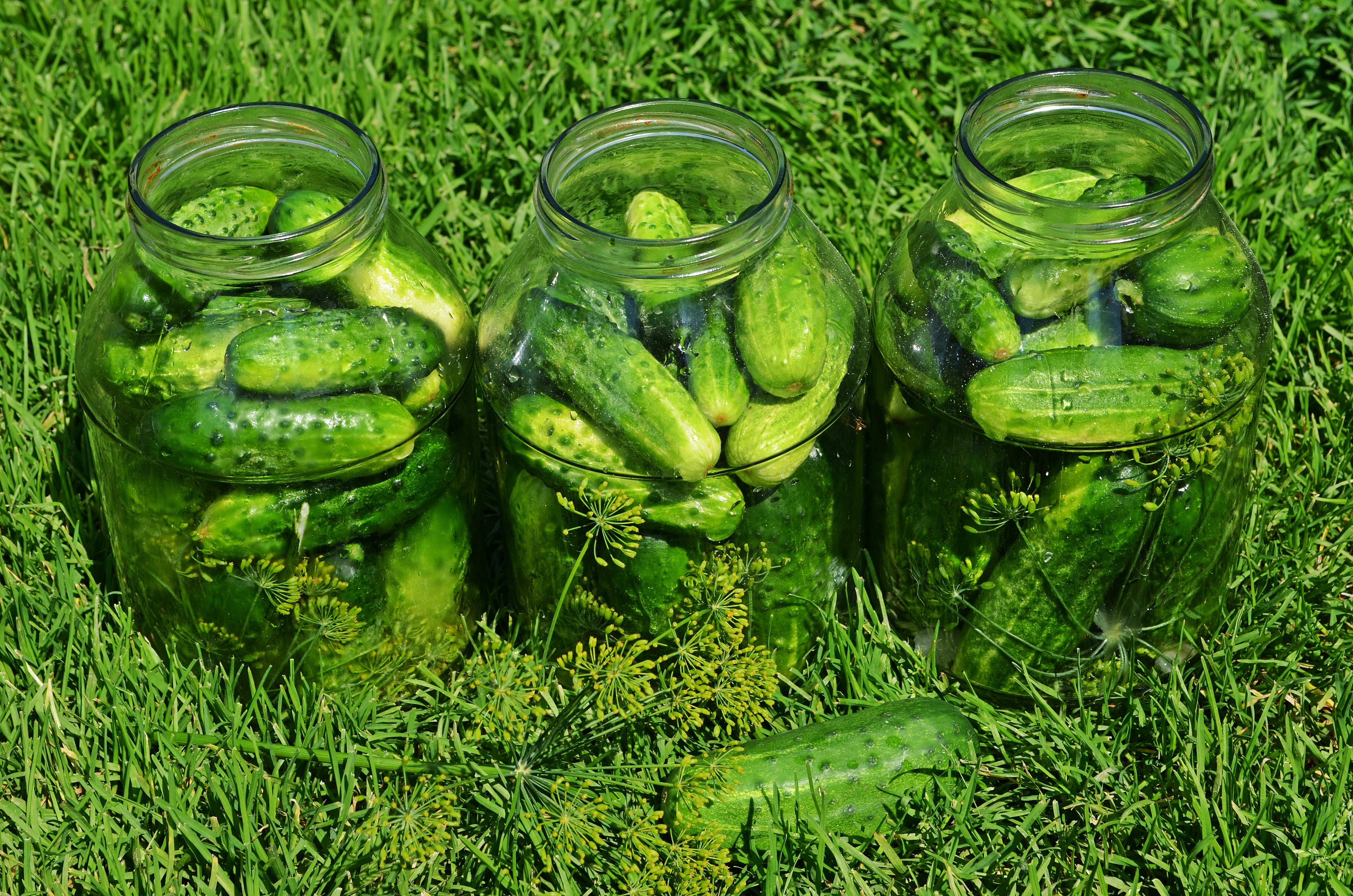 glass, outdoors, wellbeing, preparations, vegetarian Food, dish, healthy Eating, kitchen, cook, koper, eating, food, ensiling cucumbers, cucumbers, inside, HD Wallpaper