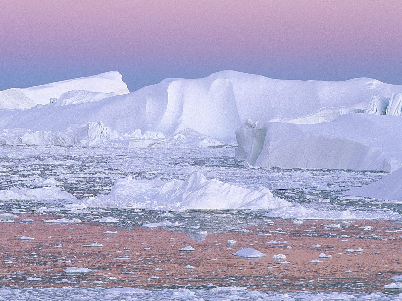 south Pole, tranquil scene, sea, pink, iceland, outdoors, pack Ice, purity, snow, environment, north Pole, iceberg - Ice Formation, cold temperature, lagoon, HD Wallpaper