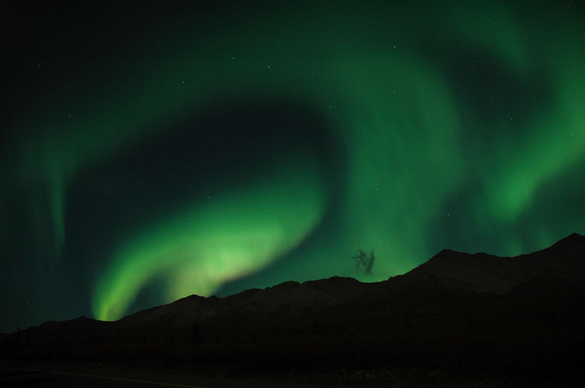 power in nature, no people, skyline, nature, preserve, denali national park, northern lights, night, beauty in nature, tranquil, 1080P, environment, hills, HD Wallpaper