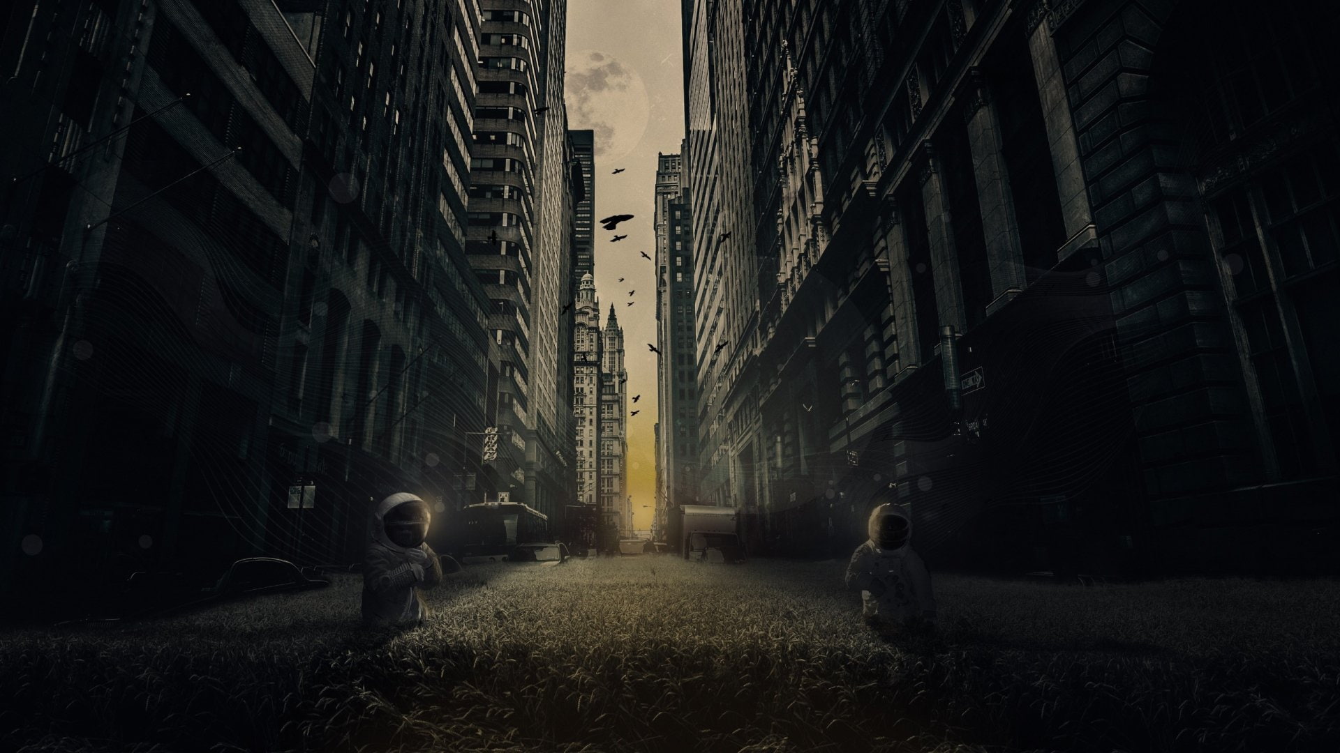 adult, plant, people, women, built structure, Field, lifestyles, building exterior, Street, real people, two people, Dark, architecture, Sci Fi, night, HD Wallpaper