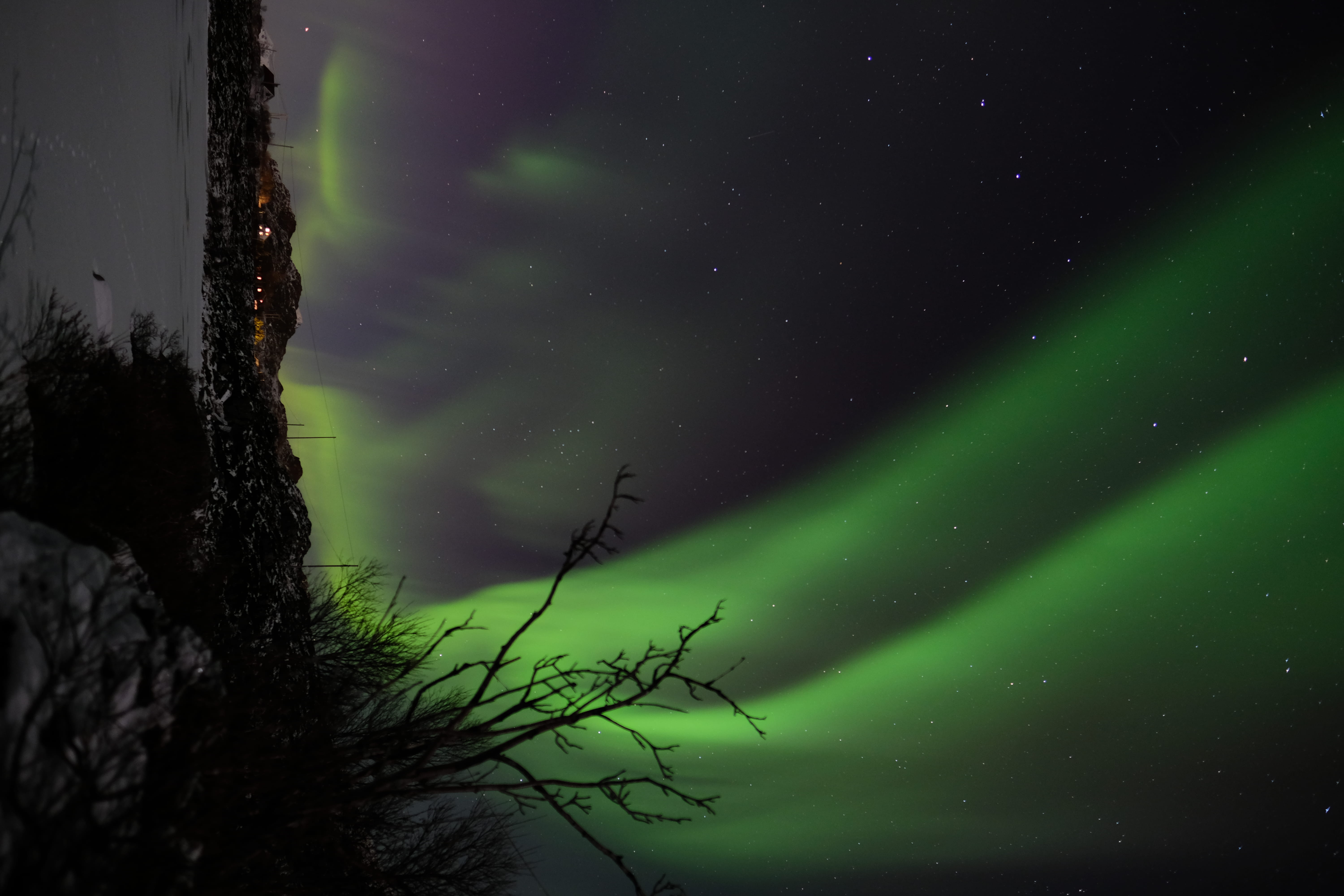 night, water, scenics - nature, lights, space and astronomy, plant, bare tree, tree, aurora borealis, green, lake, natural phenomenon, outer space, beauty in nature, HD Wallpaper