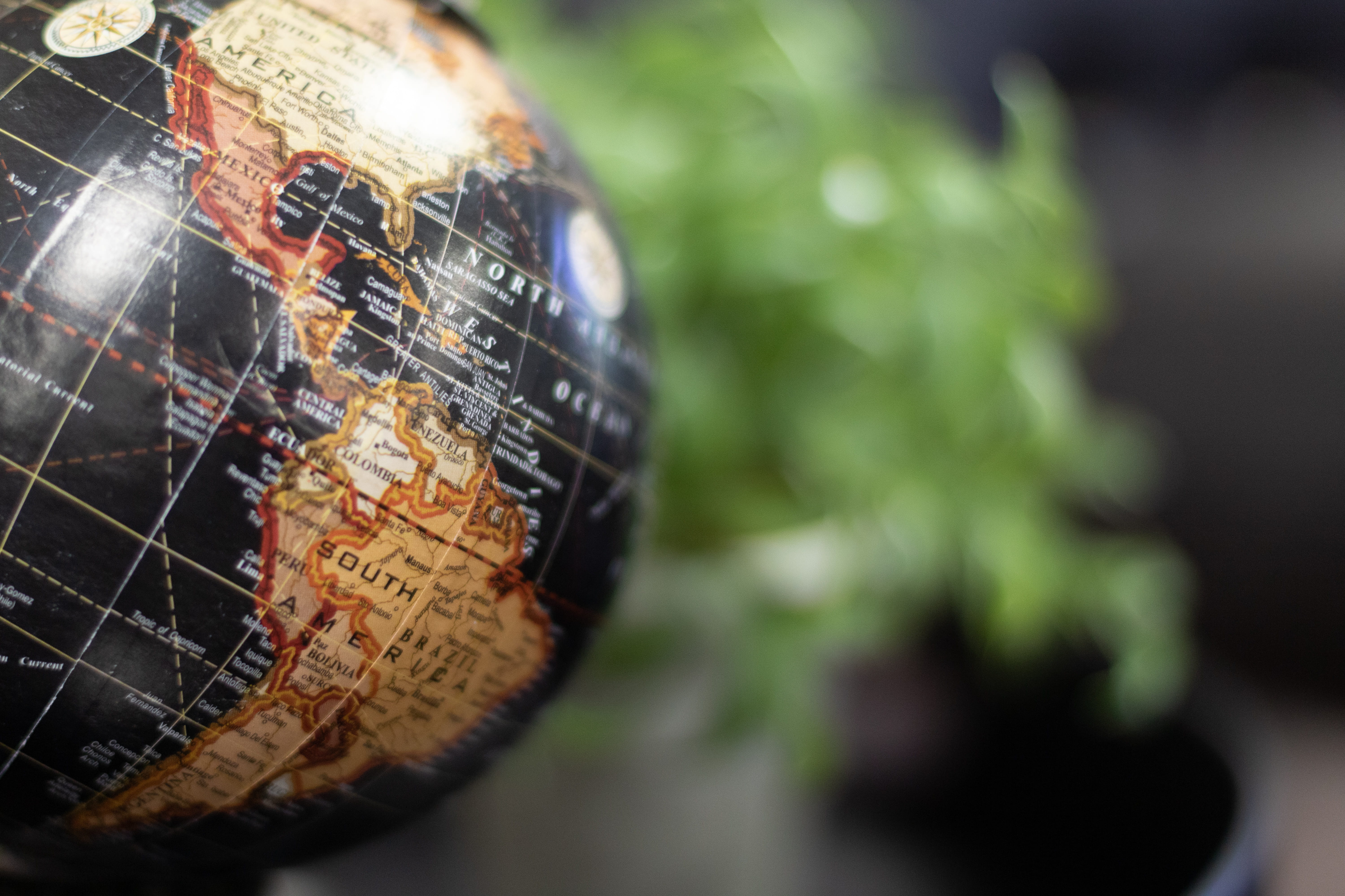 animal, connection, earth, text, america, south america, communication, western script, pattern, religious equipment, single object, apparel, clothing, HD Wallpaper