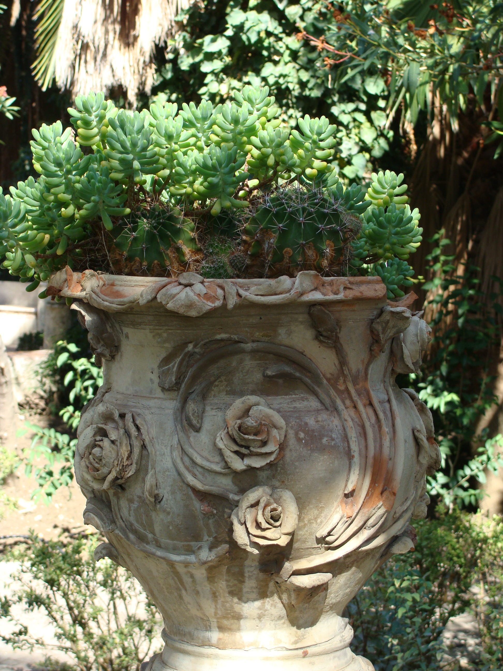 sicily, greenery, craft, nature, tree, stoneware, urn, plant, day, focus on foreground, pots, carving, human representation, outdoors, old, jar, close-up, Phone HD Wallpaper