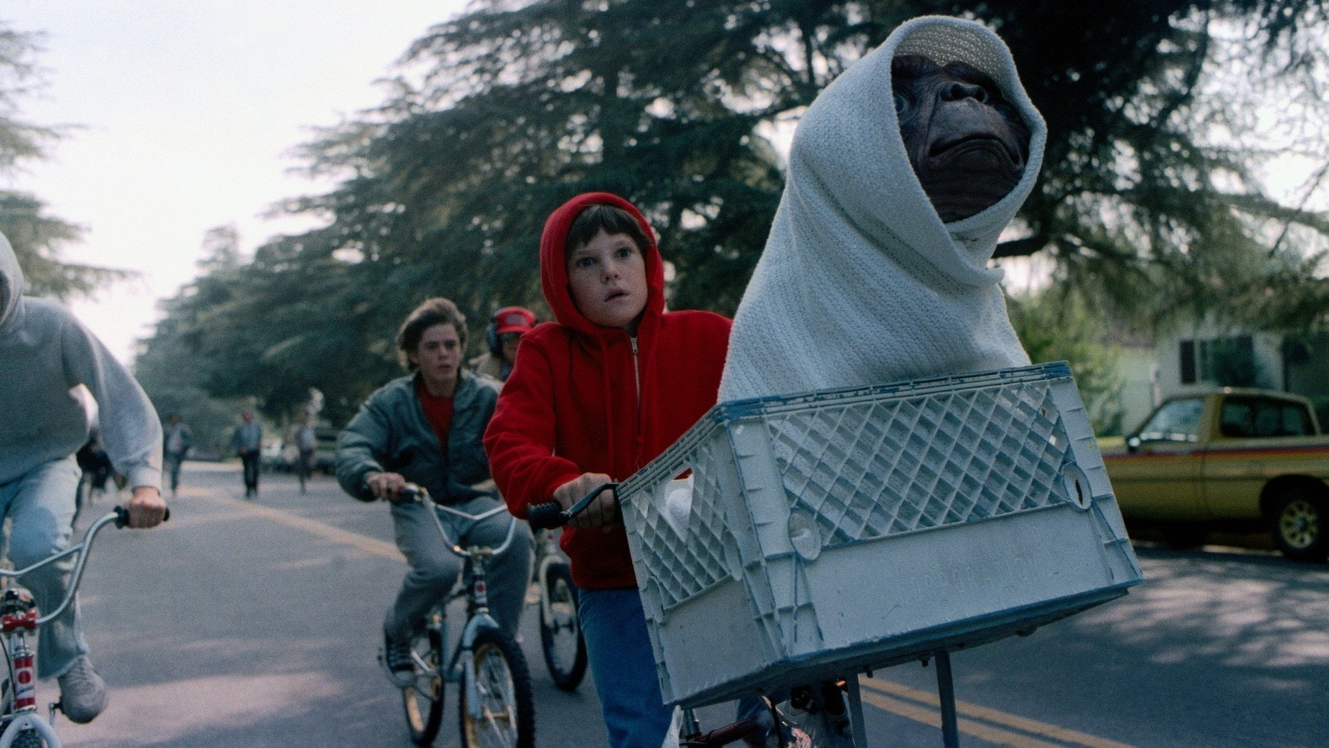 mode of transportation, portrait, outdoors, transportation, looking at camera, E.T. the Extra-Terrestrial, lifestyles, nature, plant, incidental people, HD Wallpaper
