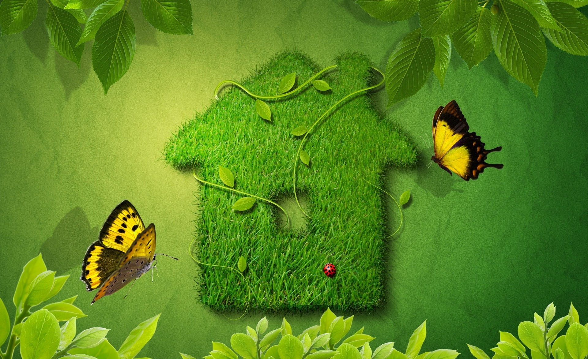 1080P, Creative, flowering plant, animals in the wild, nature, green, yellow, Butterflies, illustration, green color, plant part, two, green house, Grass, HD Wallpaper