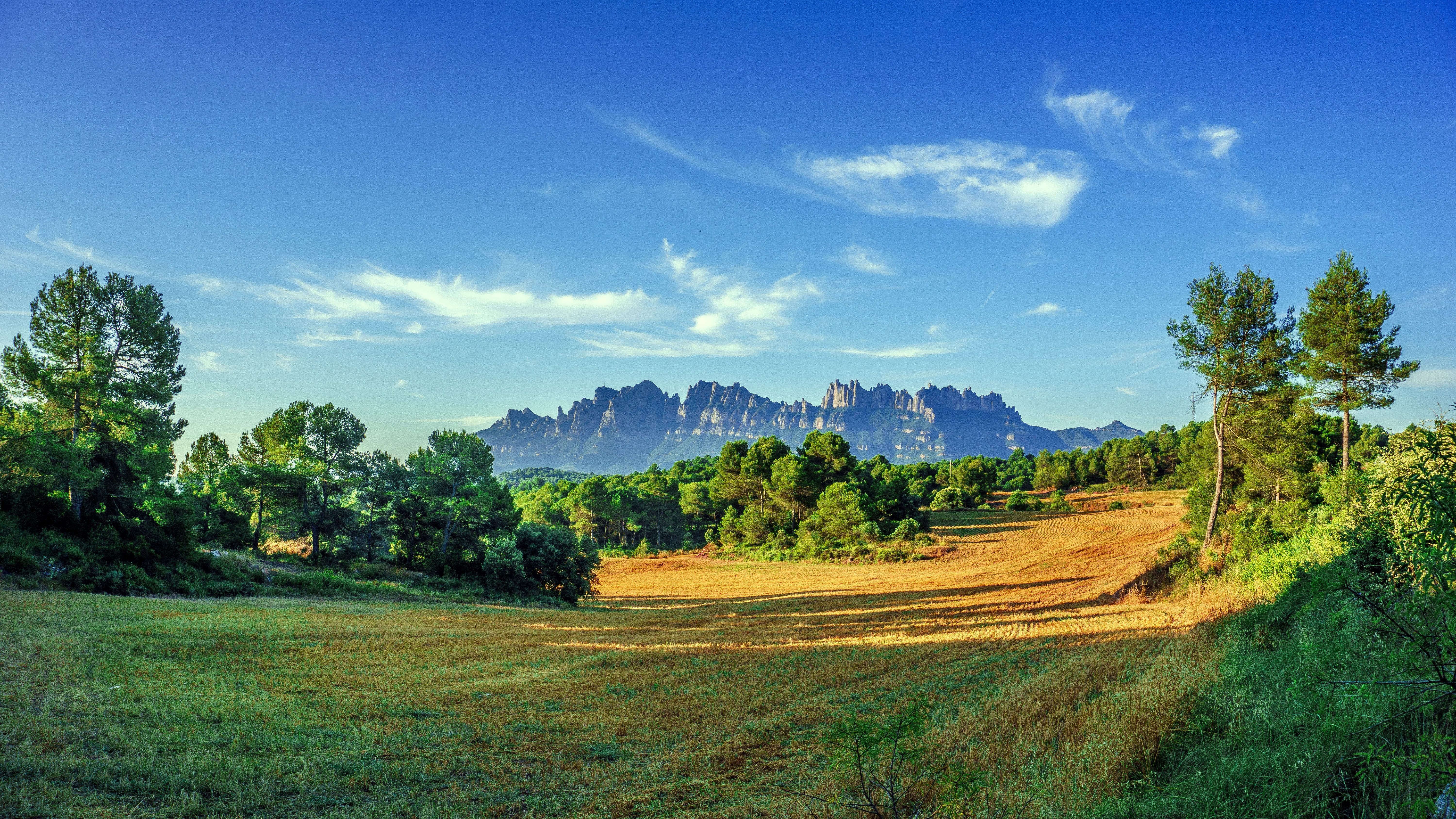wheat, scenic, tree, no people, tranquility, blue, rural scene, green, landscape, scenics - nature, cloud - sky, mountain, montserrat, pasture, agriculture, HD Wallpaper