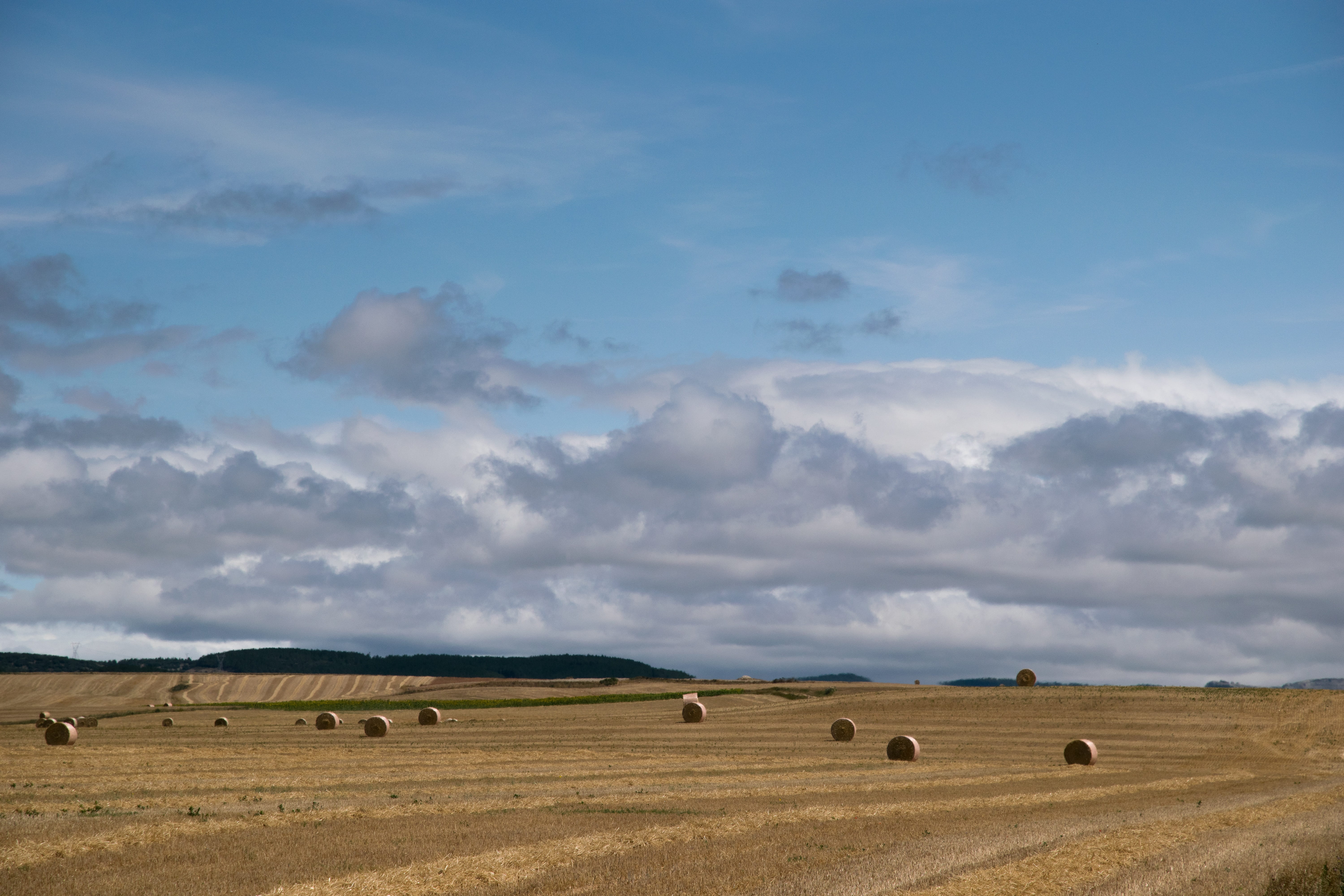 tranquility, tranquil scene, field, non-urban scene, grass, rural scene, clouds, bale, 5K, land, straw, herd, landscape, palencia, scenics - nature, mowing, HD Wallpaper