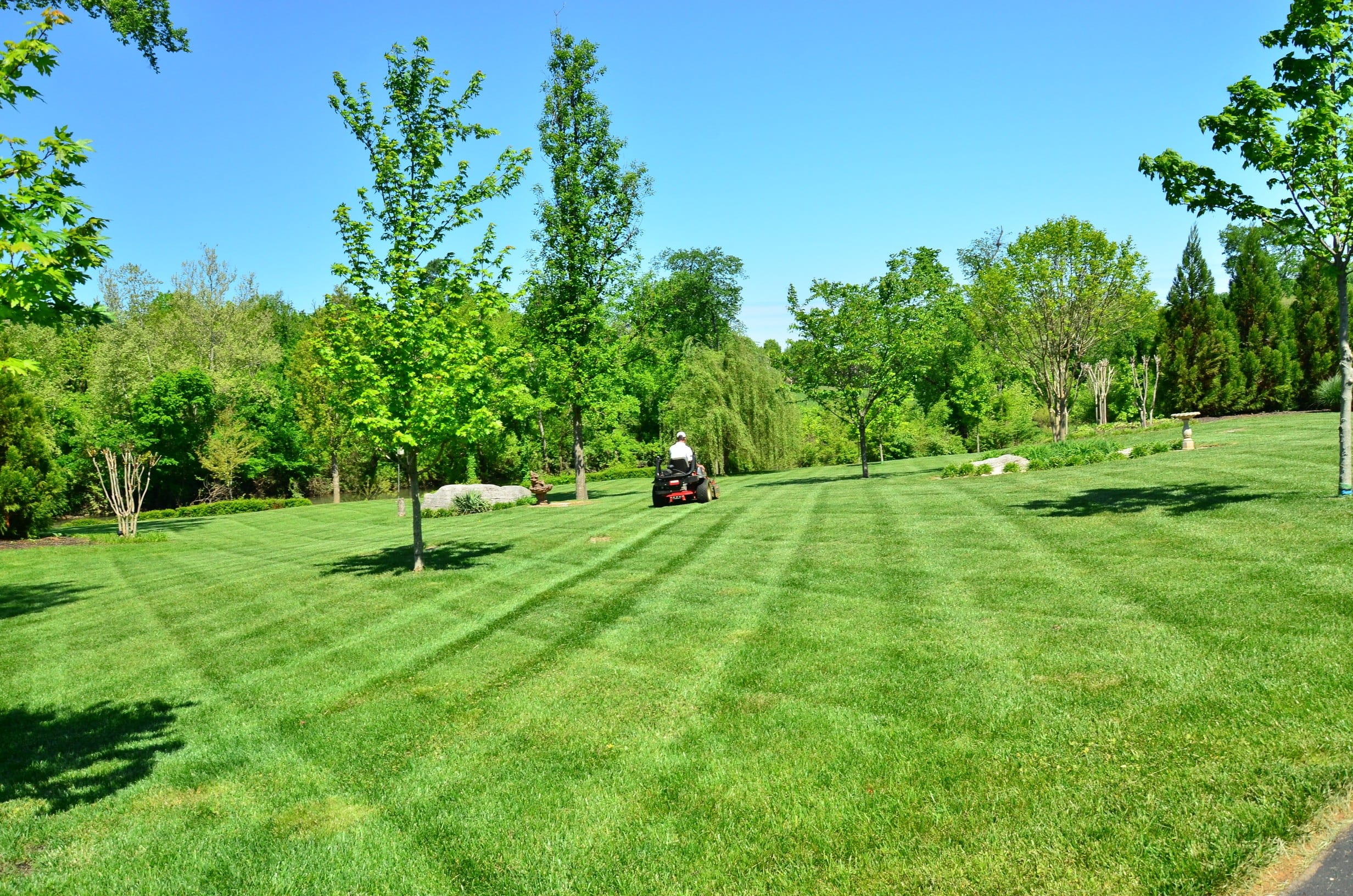 lawn services, activity, growth, plant, green - golf course, day, green, leisure activity, green field, beauty in nature, tranquility, golf, nature, sunlight, HD Wallpaper