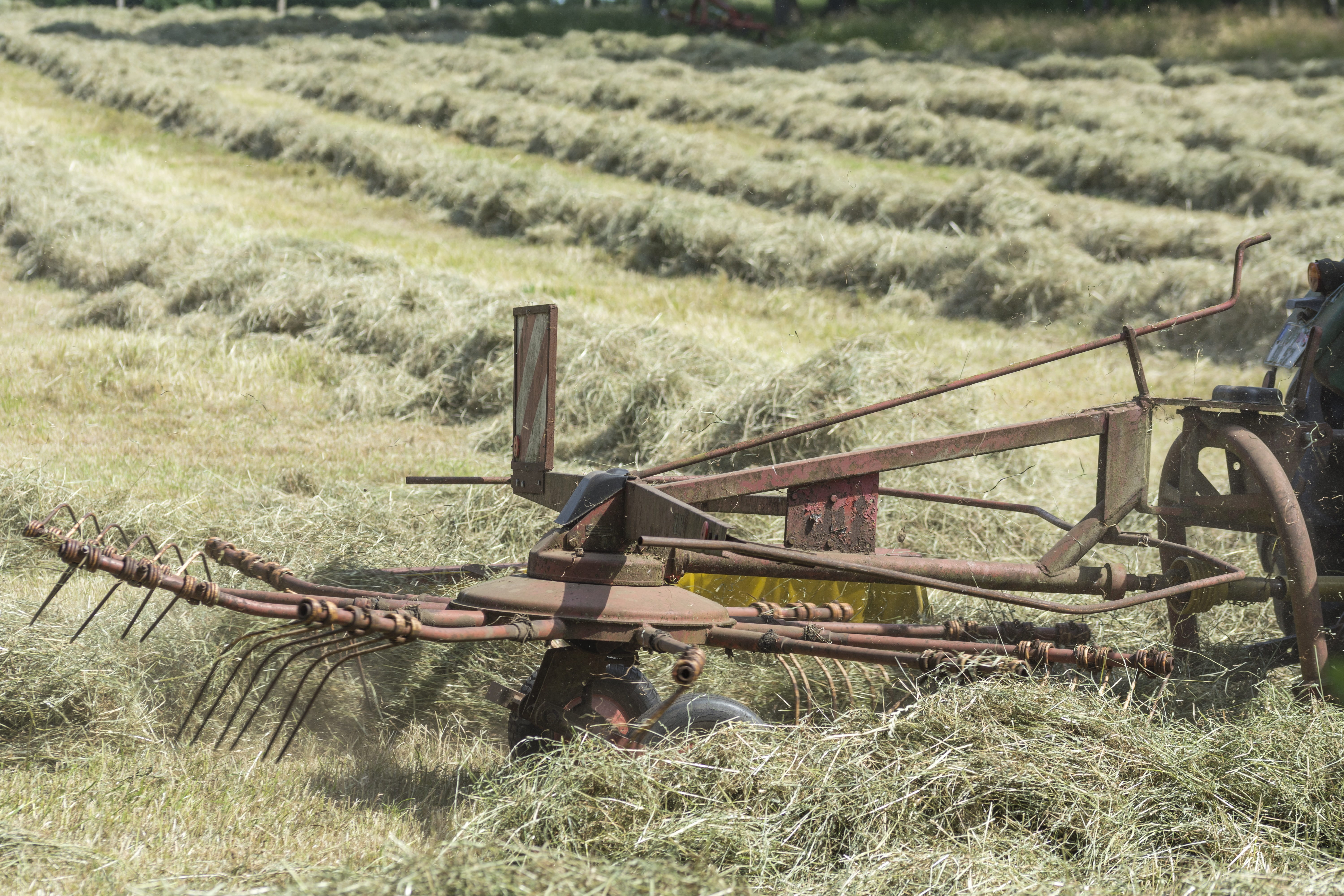 hay shake, labor, hay, agricultural vehicle, antique, metal, no people, intensive, mode of transportation, mow, flip, agriculture, lawn mowing, outdoors, HD Wallpaper