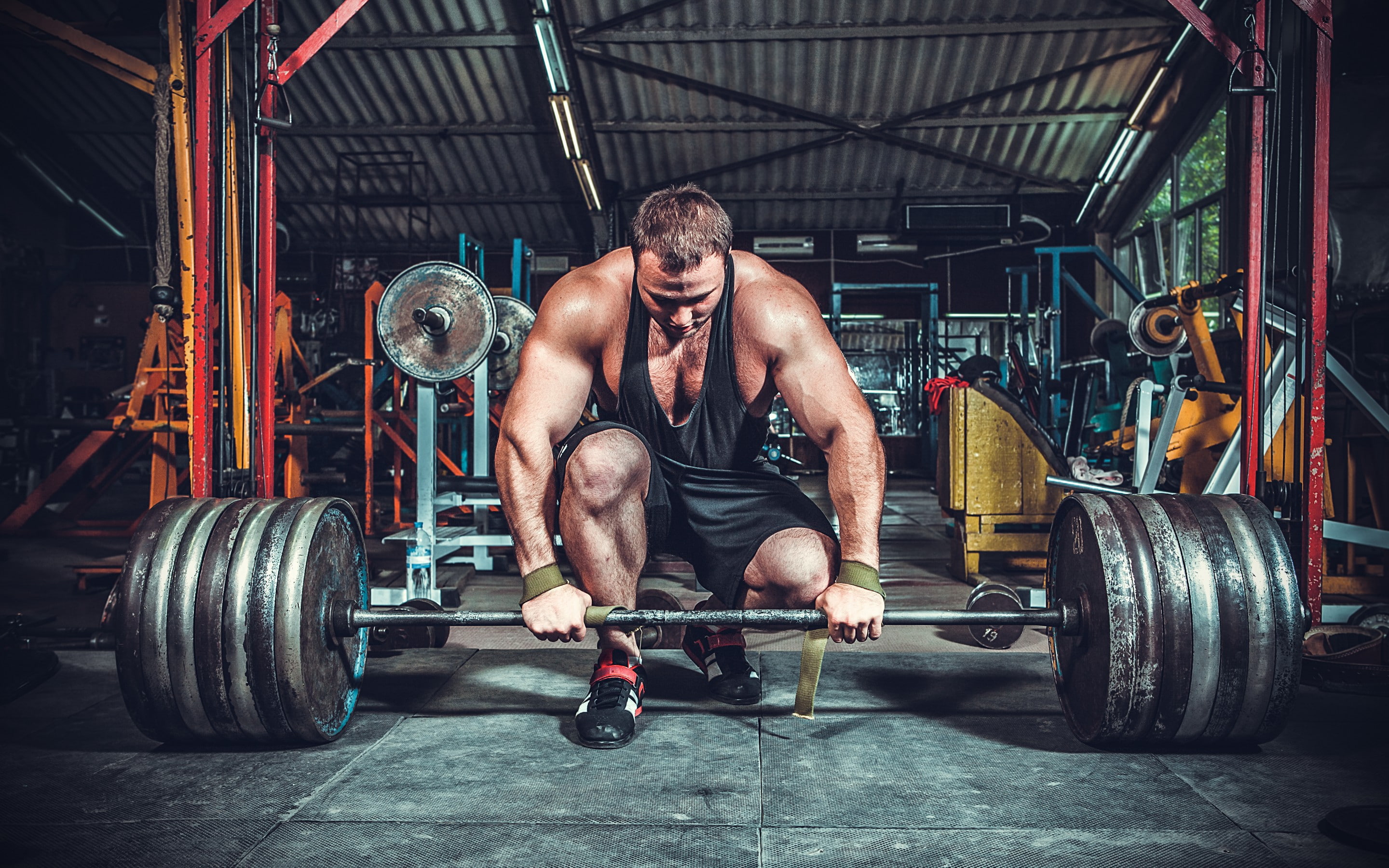 gym, pose, weightlifting, 2K, best, HD Wallpaper