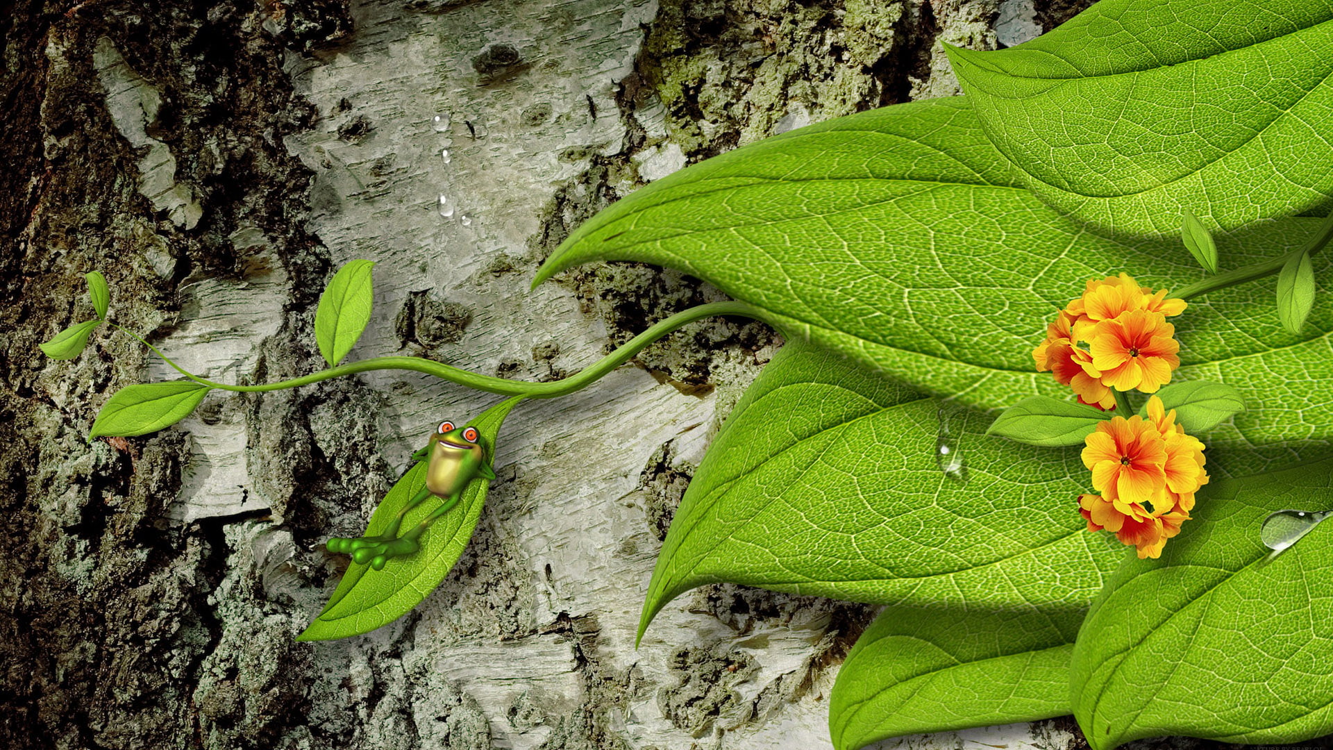 freshness, nature, summer squash, black mamba, bright, flower, healthy, tranquility, produce, growth, close, spring, botany, plant, colorful, tree trunk, HD Wallpaper