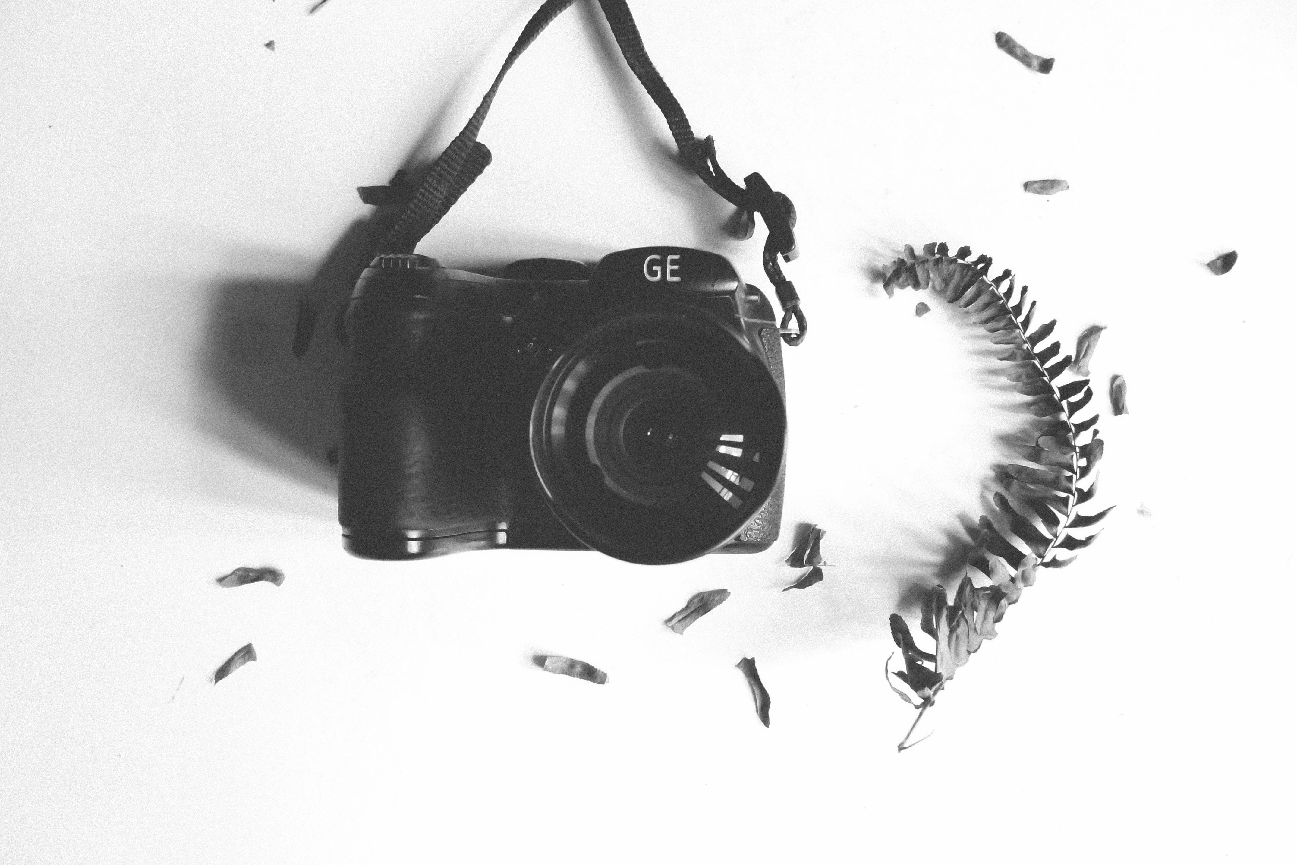 photographing, no People, backgrounds, white, camera, ge, white background, single Object, retro Styled, hobbies, old-fashioned, branch, close-up, black Color, HD Wallpaper