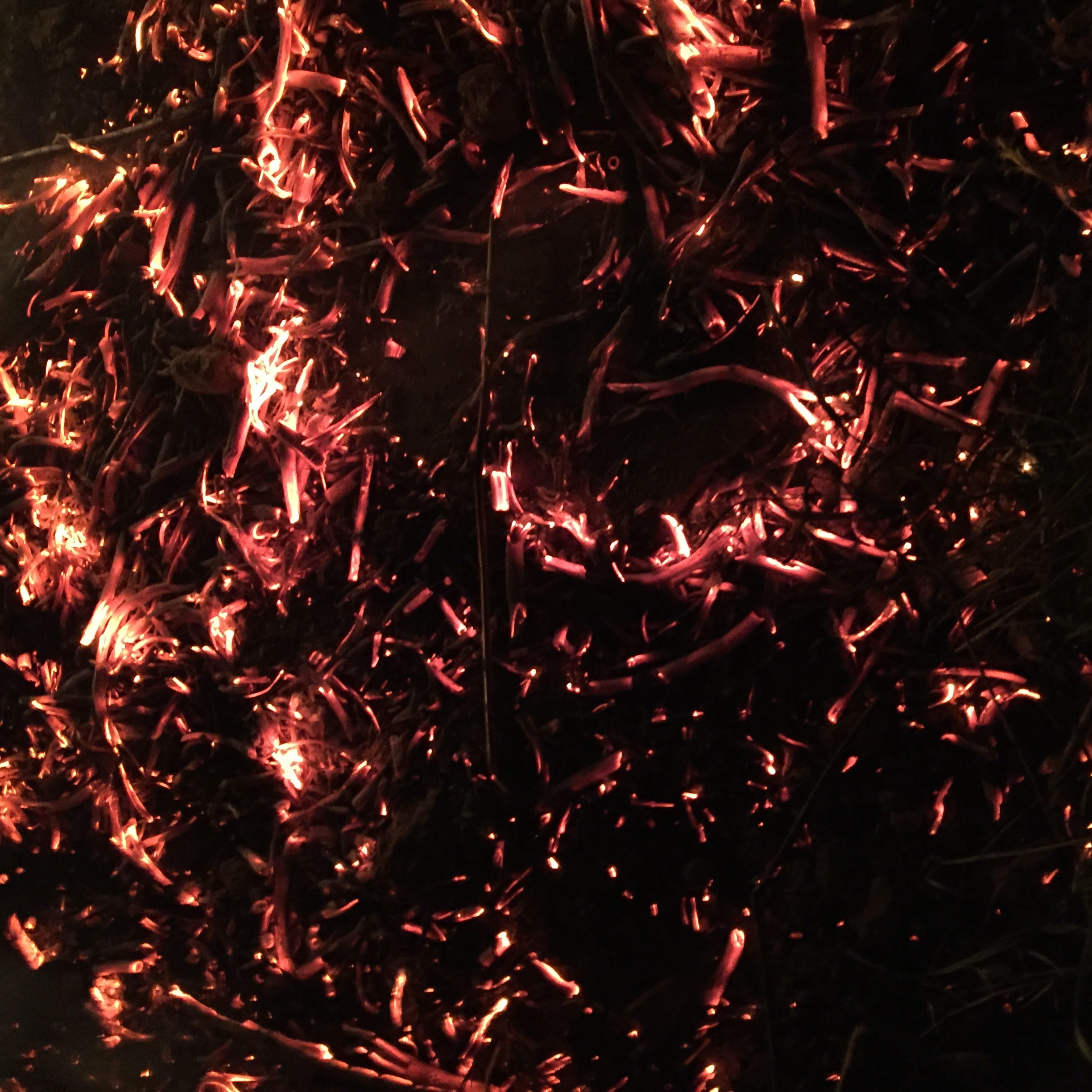 pattern, gagarin, ulitsa lugovaya, heat - temperature, fire, red, bonfire, beauty in nature, forest, night, no people, russia, abstract, tranquility, high angle view, Phone HD Wallpaper