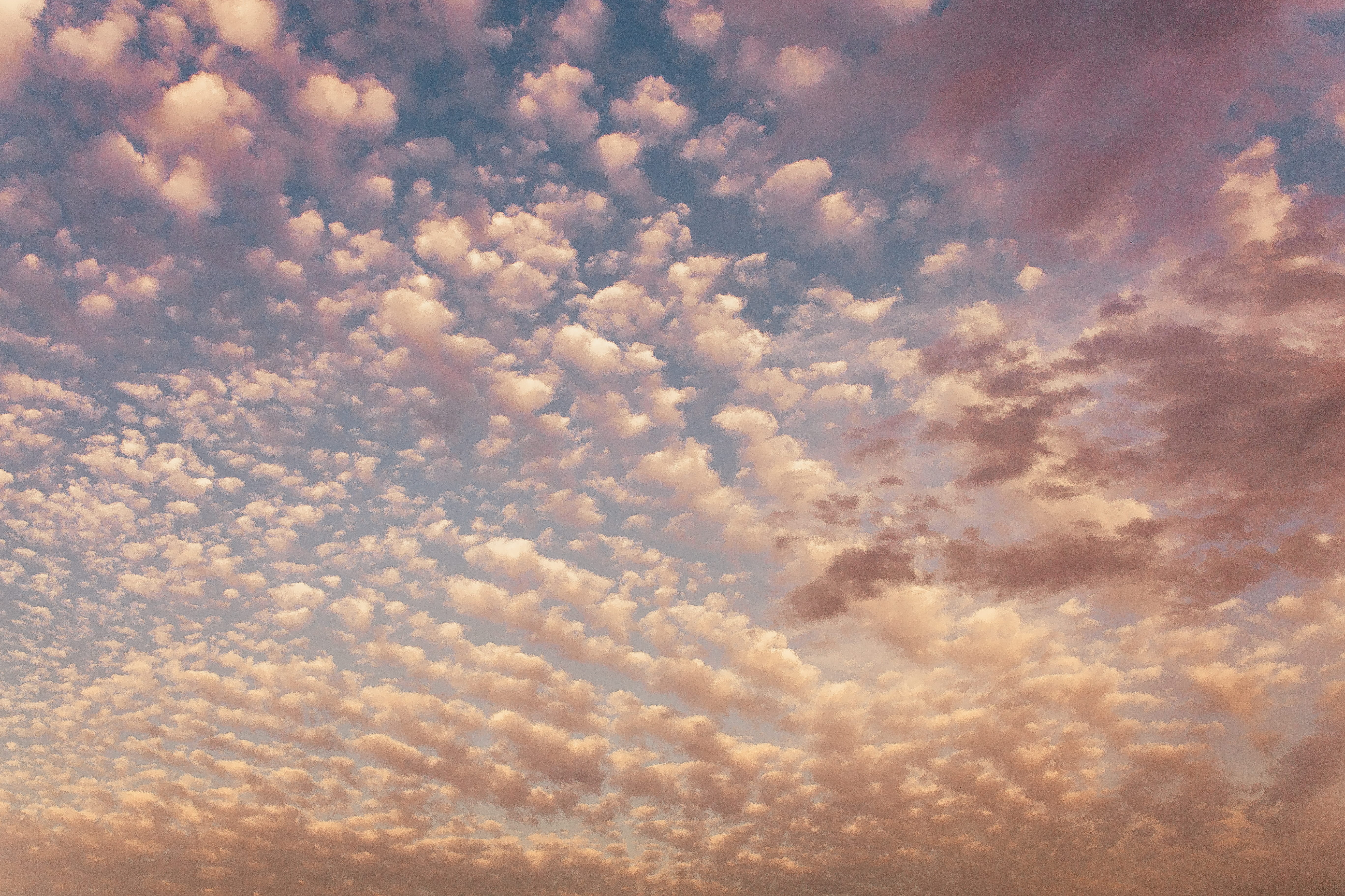 scenic, dawn, sunset, sky, dusk, scenics - nature, heaven, dramatic sky, softness, tranquil scene, cloudscape, light, tranquility, blue, dramatic, beauty in nature, HD Wallpaper