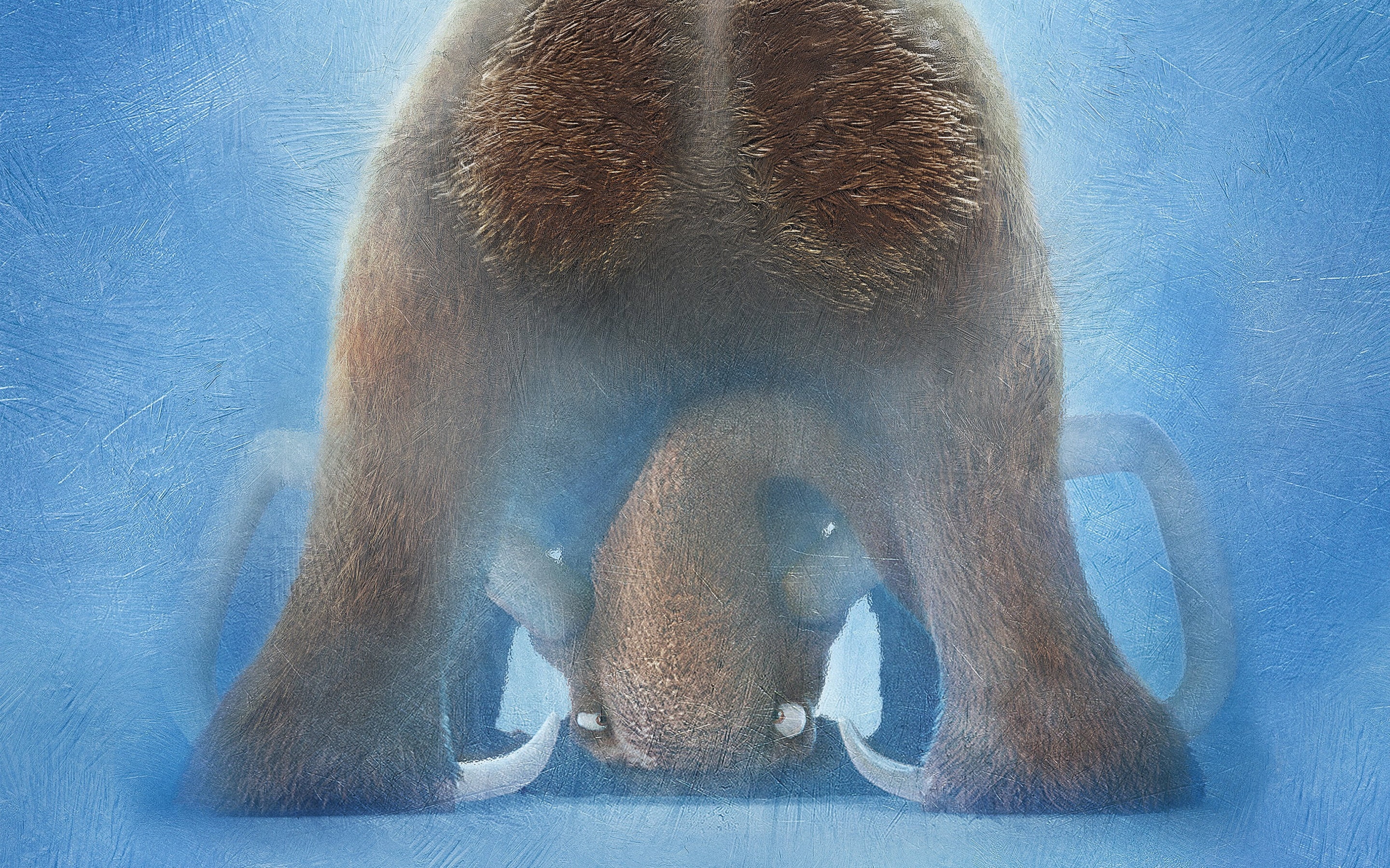 mammal, vertebrate, polar bear, age, 2K, blue, animals in the wild, one animal, animal wildlife, bear, front view, looking, course, ice, Movies, animated, HD Wallpaper
