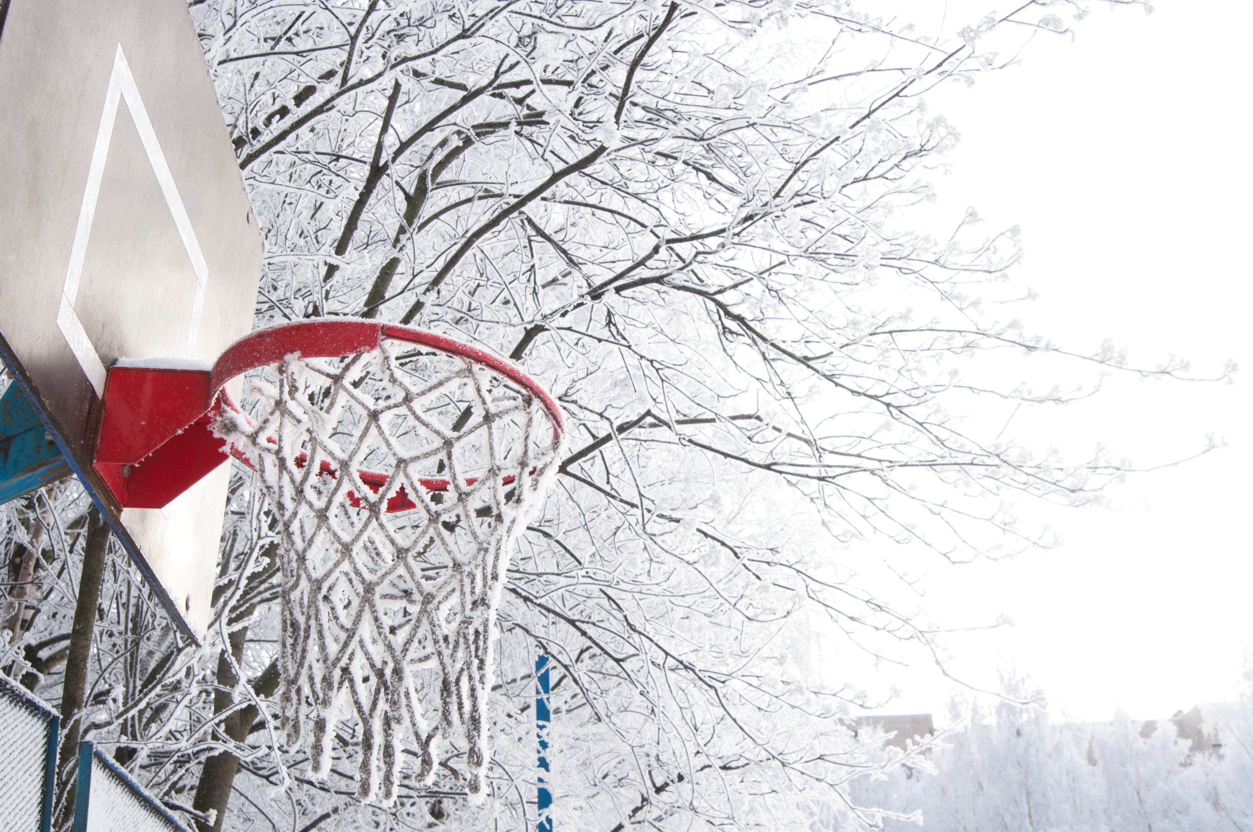 branch, transparency, winter, white color, season, plant, basketball, sports, sport, low angle view, blue sky, bare tree, trees, red, cold temperature, HD Wallpaper