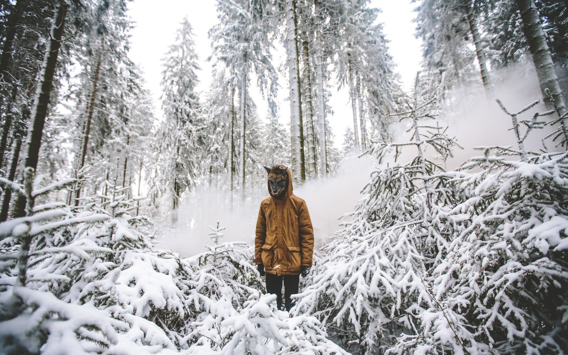 forest, cold temperature, lifestyles, woodland, extreme weather, outdoors, tree, non-urban scene, plant, one person, leisure activity, beauty in nature, HD Wallpaper