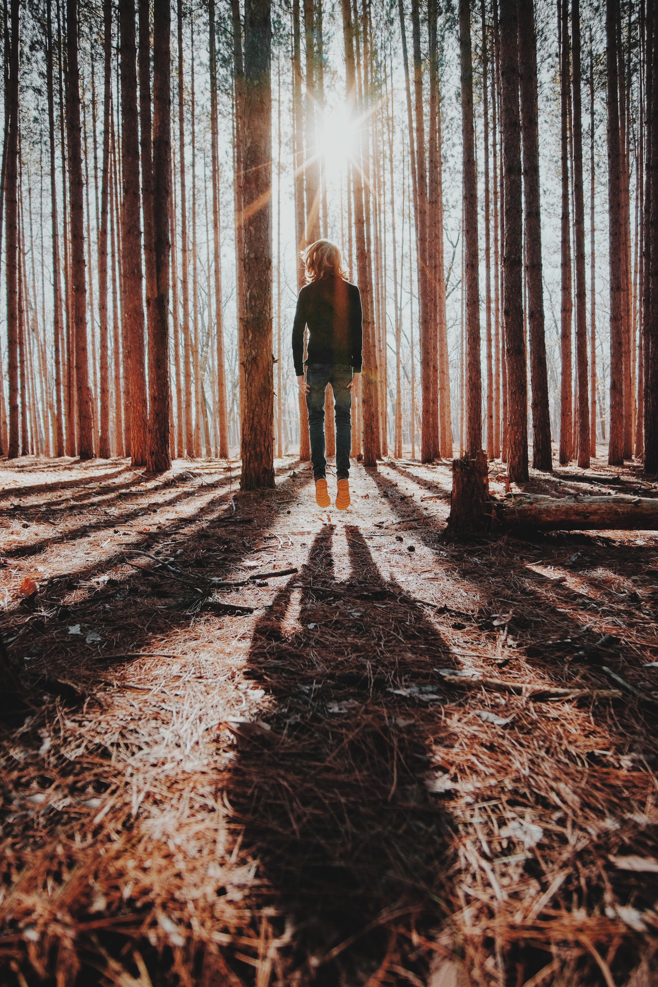 jump, 4K, levitation, loneliness, shadow, forest, Phone HD Wallpaper