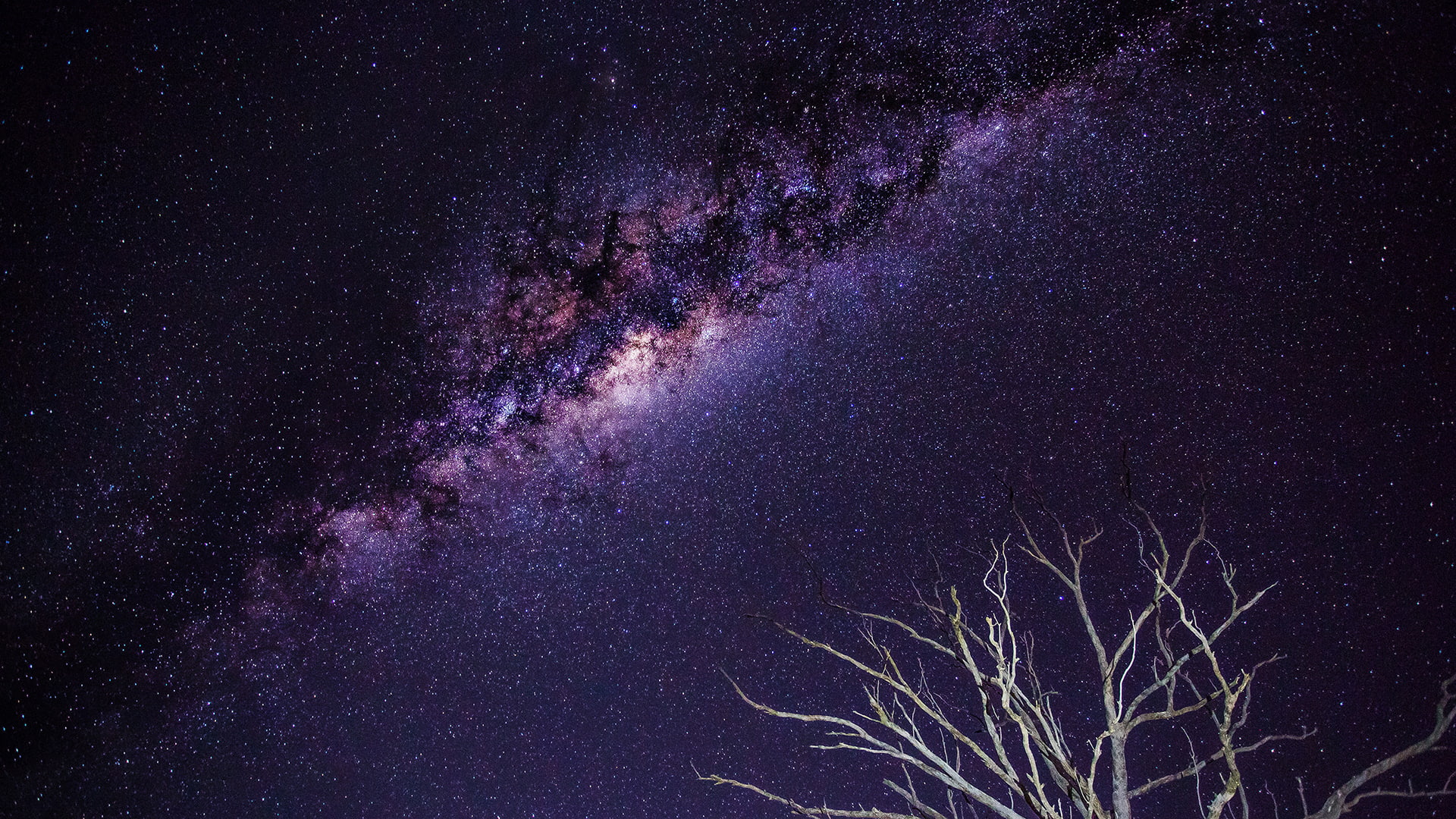 milky, tree, way, grey, space, branch, night, branches, galaxy, stars, hd, 1080P, HD Wallpaper