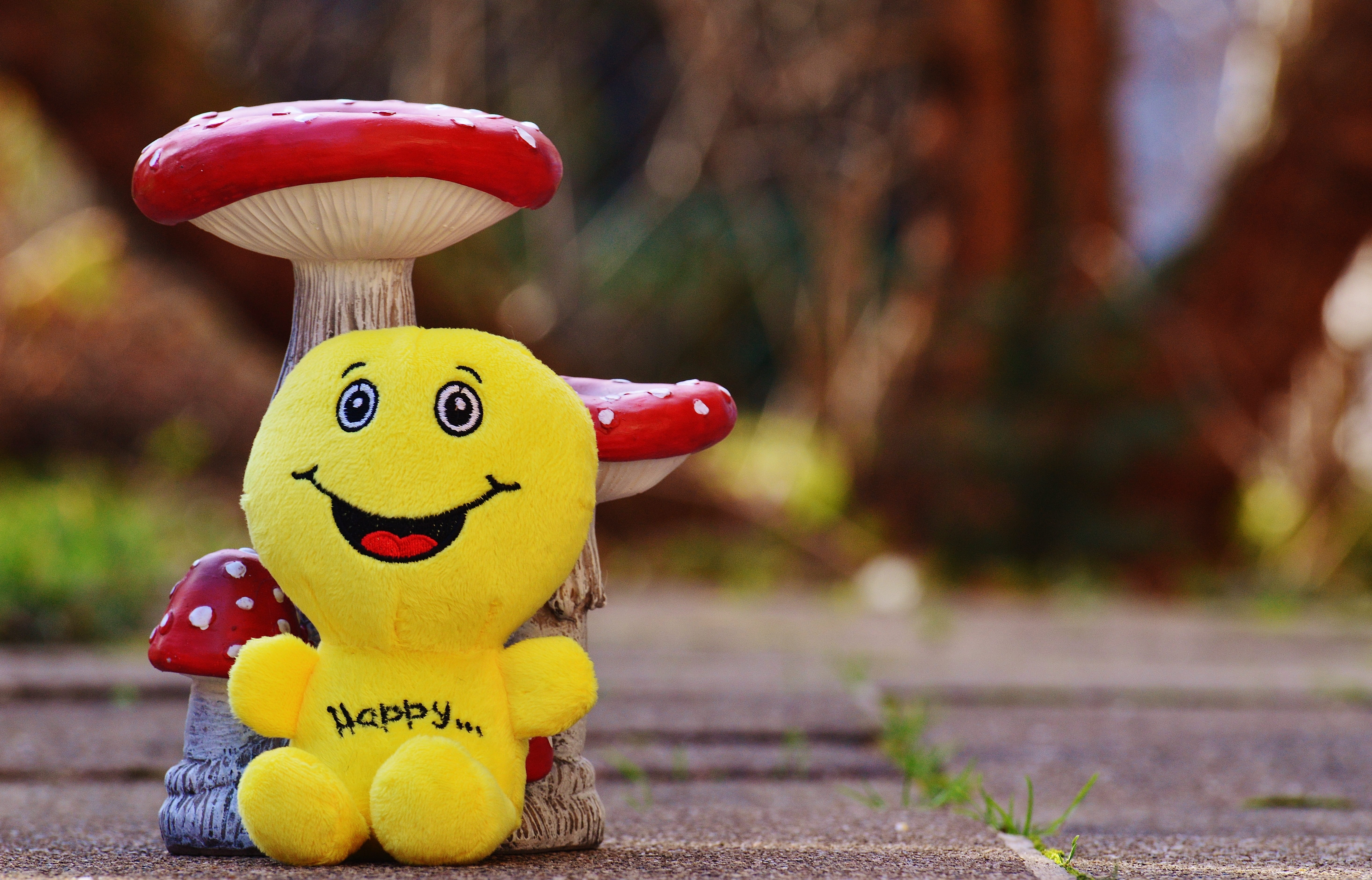 representation, animal representation, cute, smiling, no people, animal, green, beginning, laugh, smile, focus on foreground, valentines day, happiness, HD Wallpaper