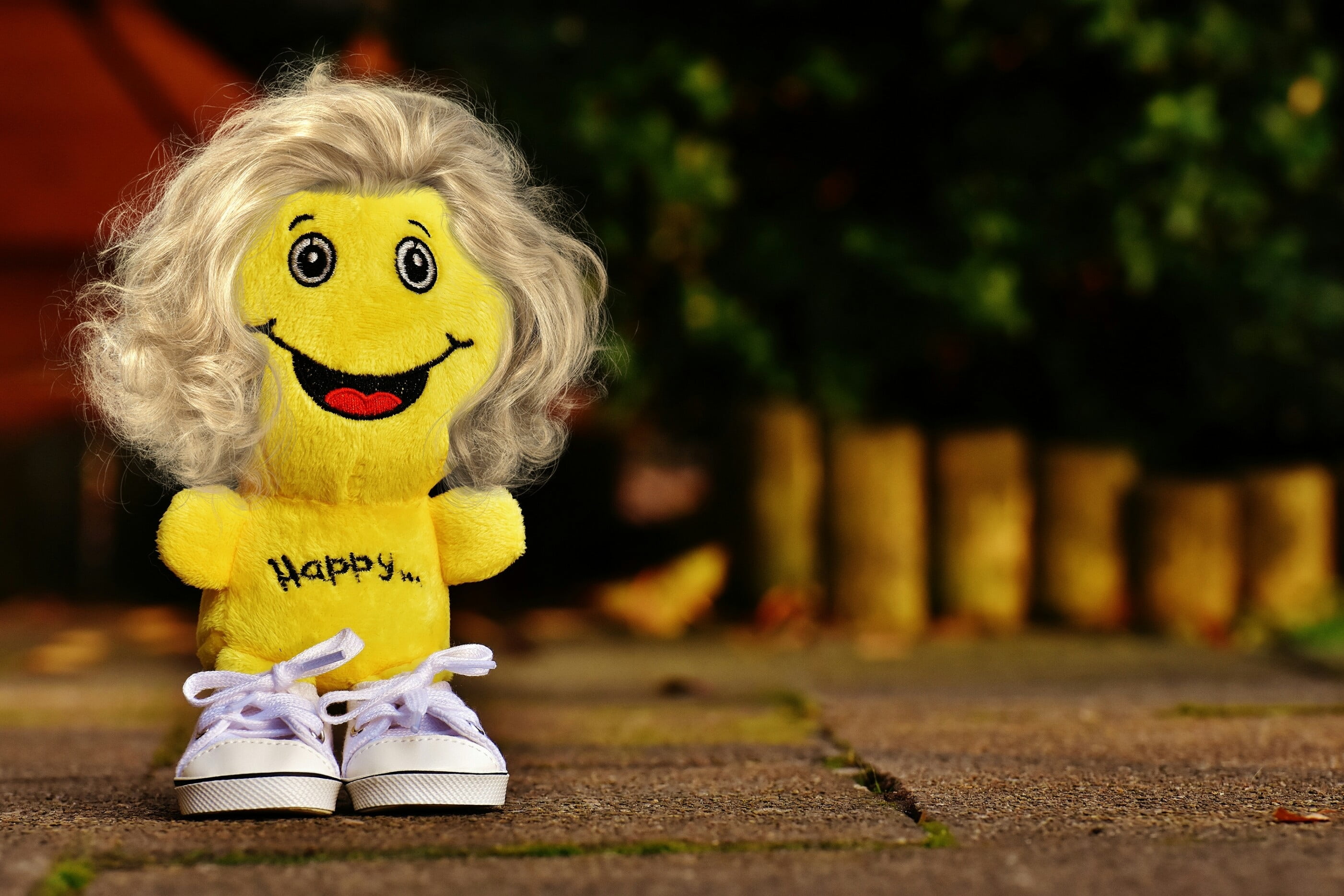 happiness, sweet, toy, happy, emotion, start, life is beautiful, joy, representation, smiley, emoticon, hairstyle, childhood, cheerful, sadness, dressing up, HD Wallpaper