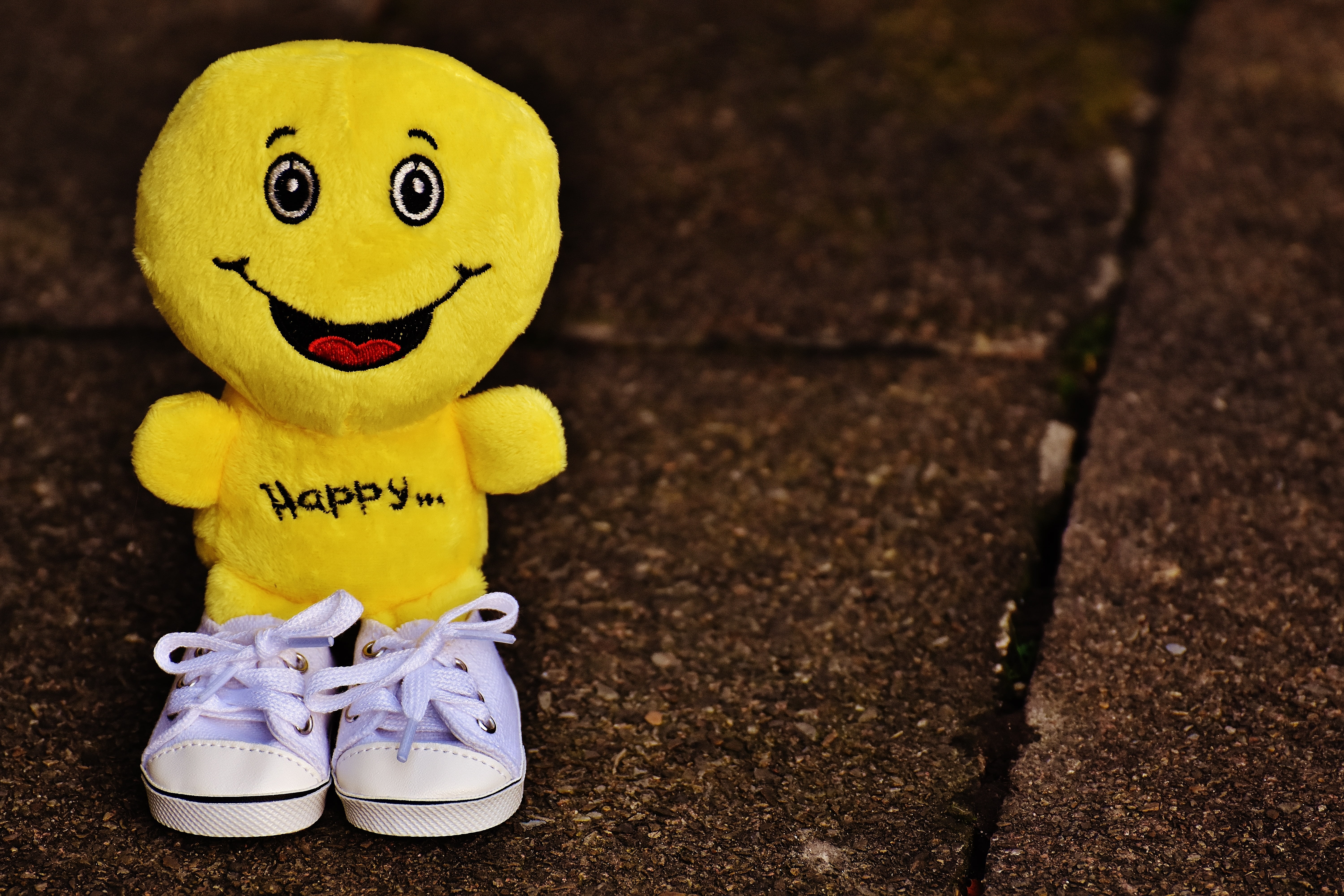 joy, smiley, funny, frohnatur, joy of life, plush, positive, toy, representation, day, beginning, sweet, sneakers, group of objects, no people, good mood, HD Wallpaper