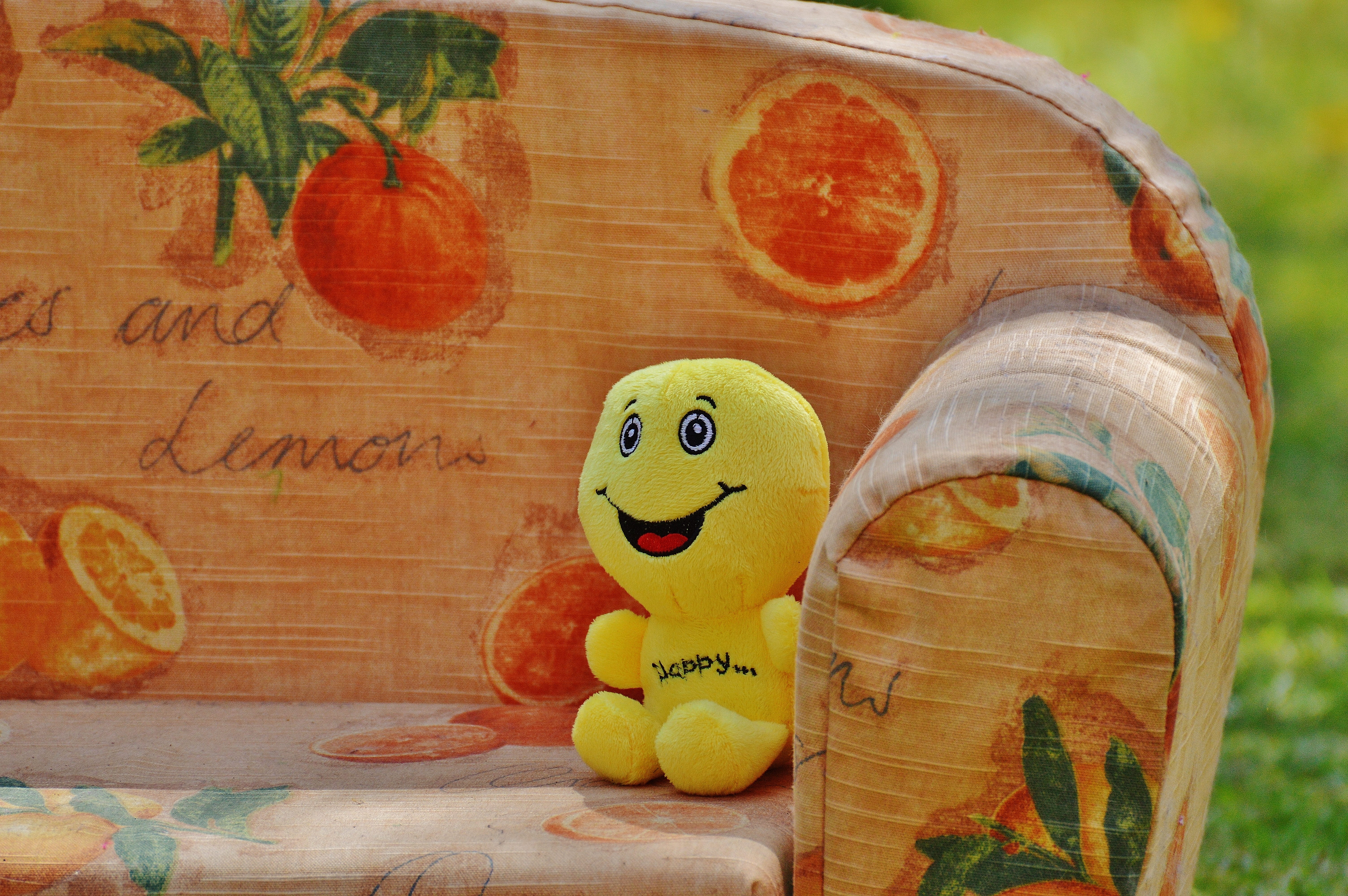 close-up, representation, anthropomorphic face, life is beautiful, happy, wood - material, start, laugh, yellow, sofa, face, funny, good mood, sweet, male likeness, HD Wallpaper
