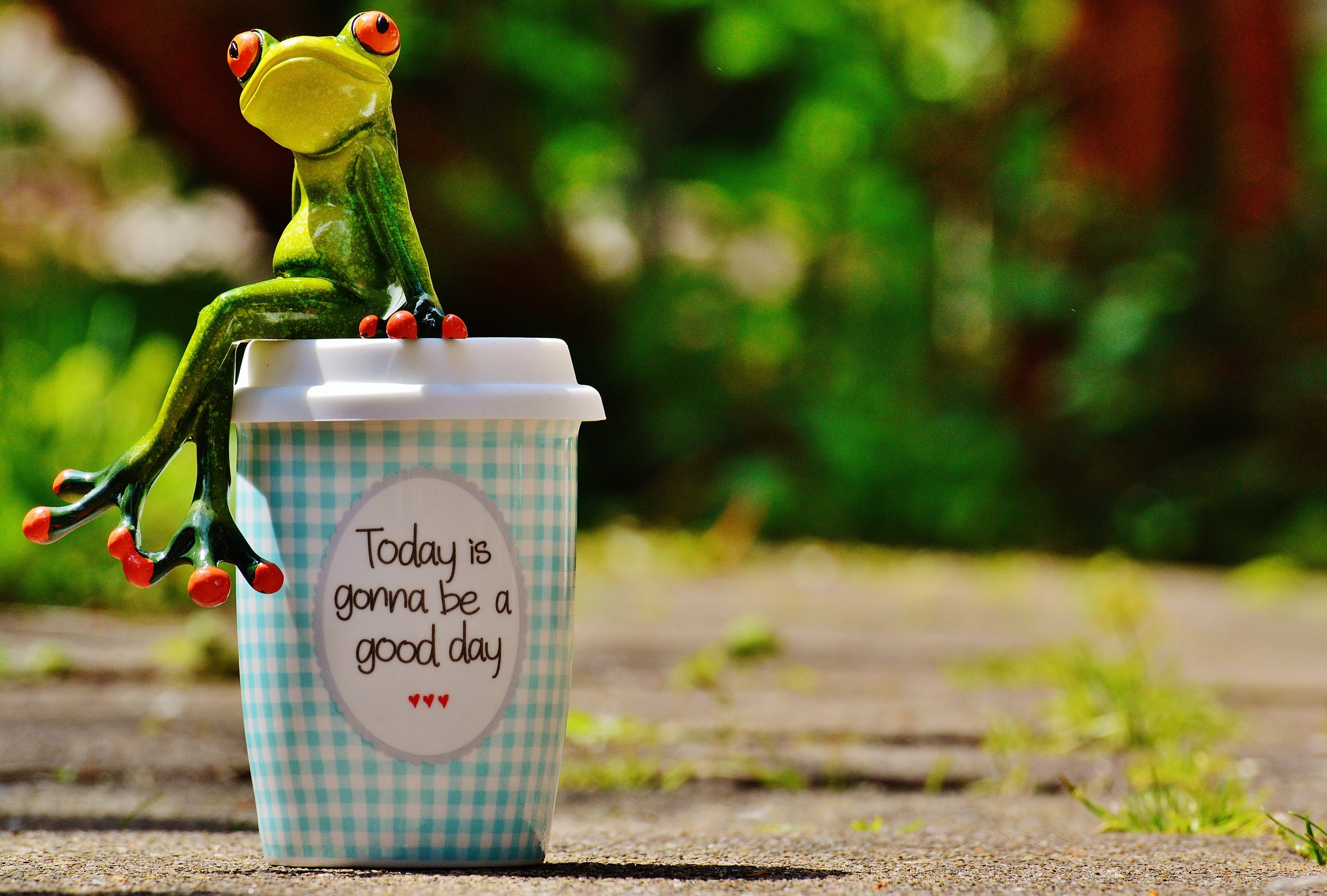 cheerful, handwriting, laugh, day, nature, no people, message, communication, animal, art and craft, smile, positive, selective focus, cup, homemade, plant, HD Wallpaper