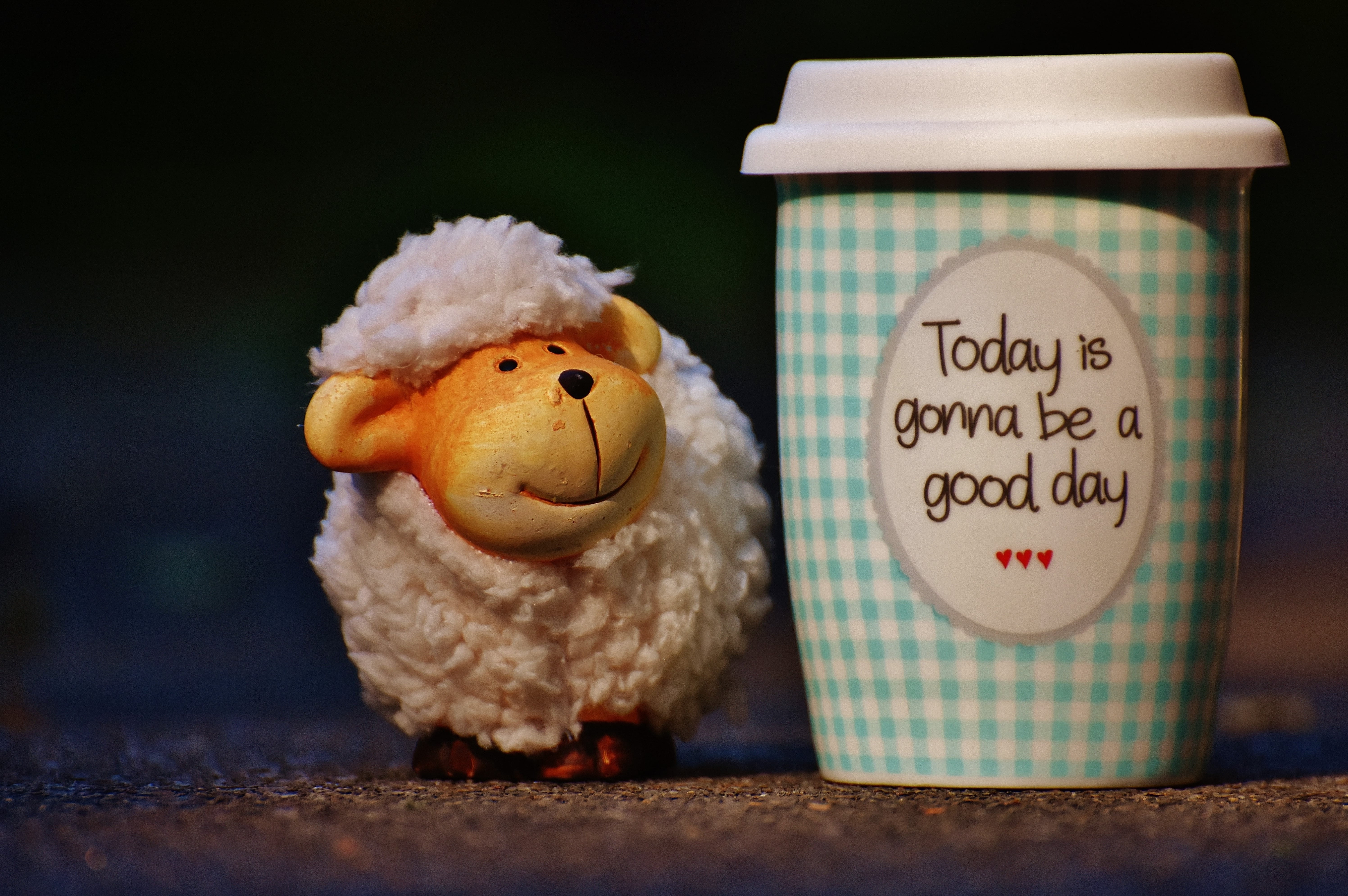 indoors, beautiful day, figurine, good mood, close-up, coffee, photography, laugh, softness, smile, christmas, art and craft, emotion, stuffed toy, happy, HD Wallpaper