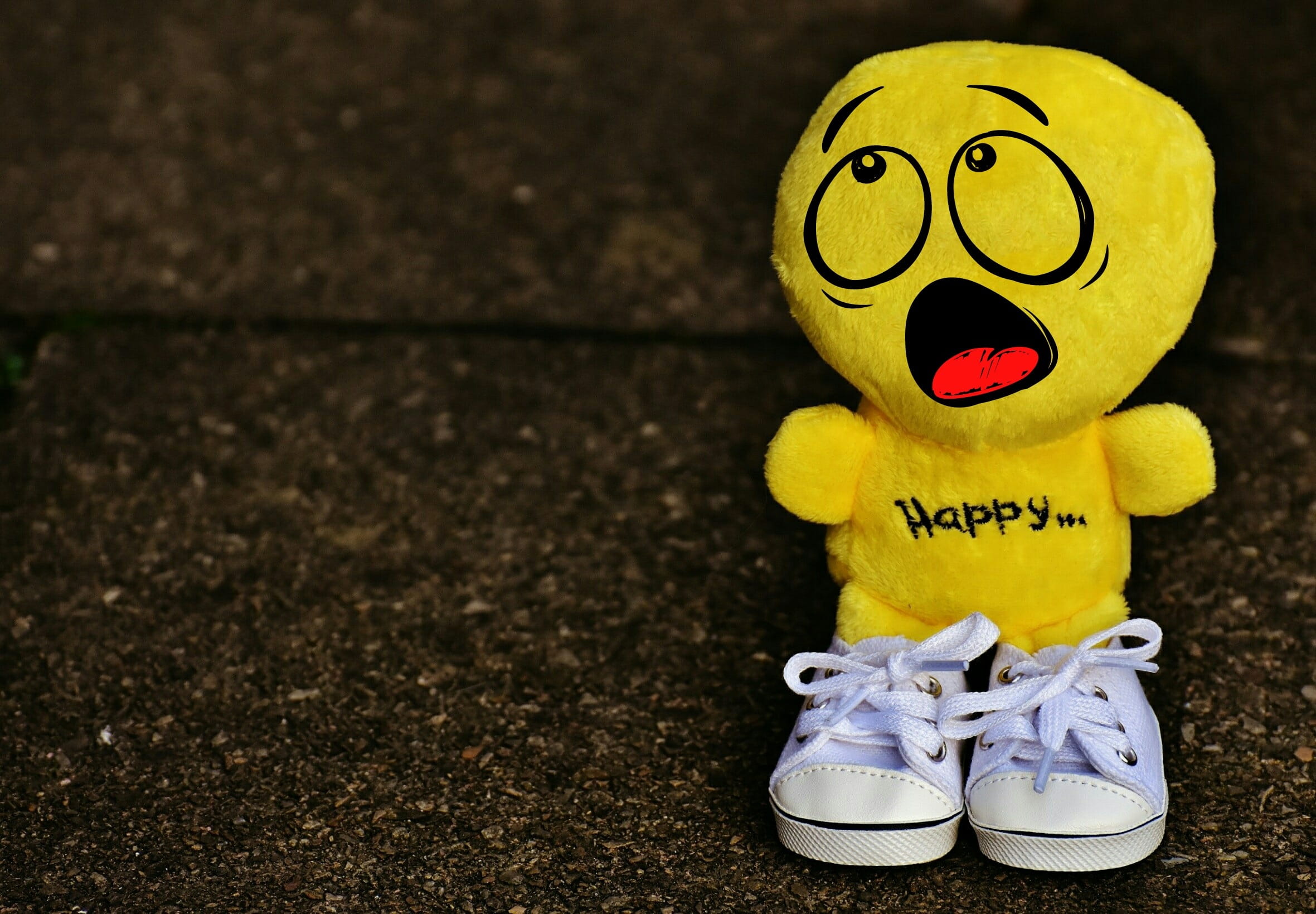 creativity, animal representation, no people, yellow, plush, indoors, start, sneakers, representation, toy, sweet, green, two objects, day, happiness, funny, HD Wallpaper