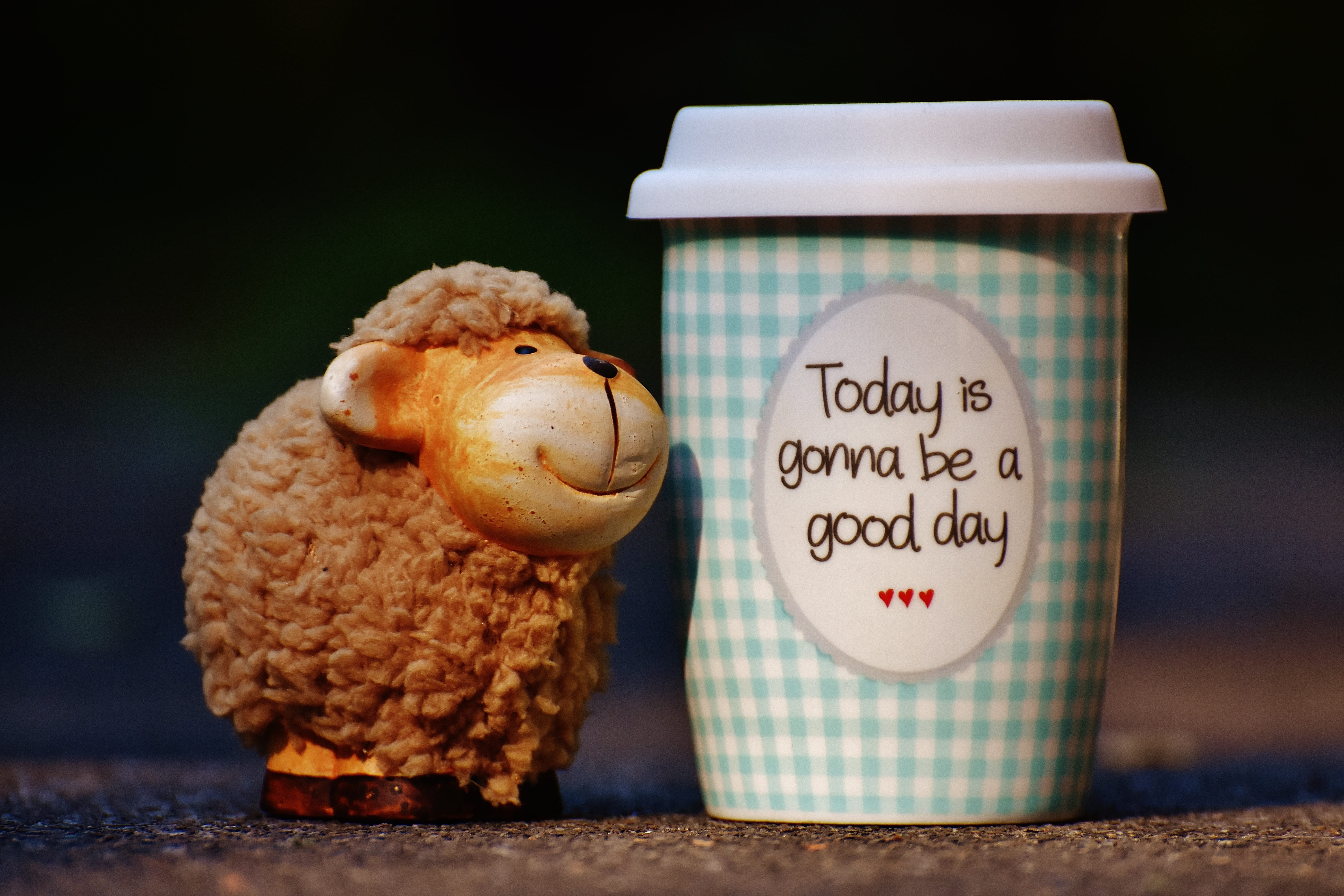 no people, health, emotion, western script, message, cheerful, sheep, container, tumbler, stuffed toy, coffee, 5K, brown, smiling, plush, studio shot, HD Wallpaper