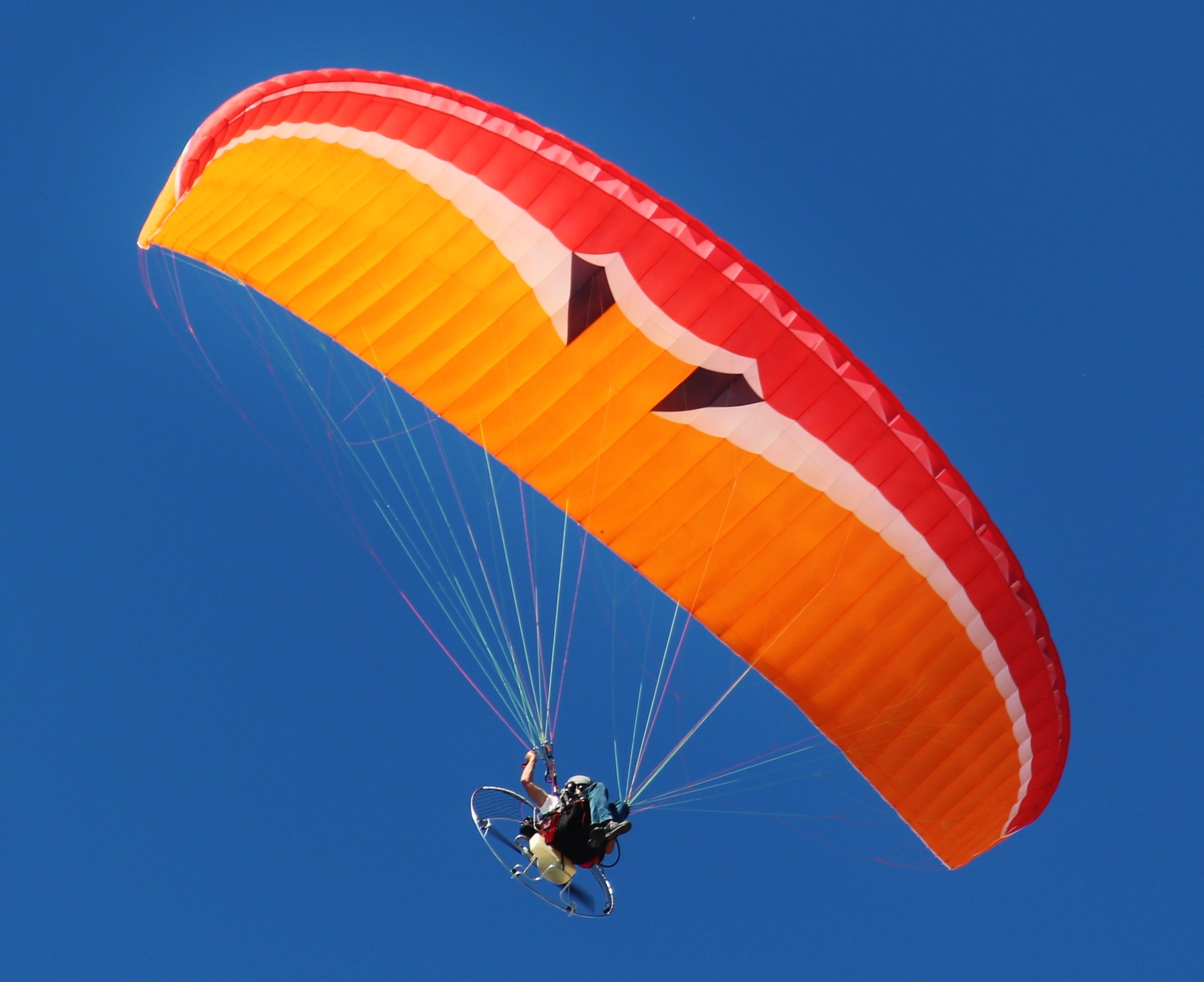 adventure, low angle view, screen, gliding, sport, sky, nature, hobbies, parachute, aircraft, parasailing, blue, leisure activity, clear sky, flying, extreme Sports, HD Wallpaper