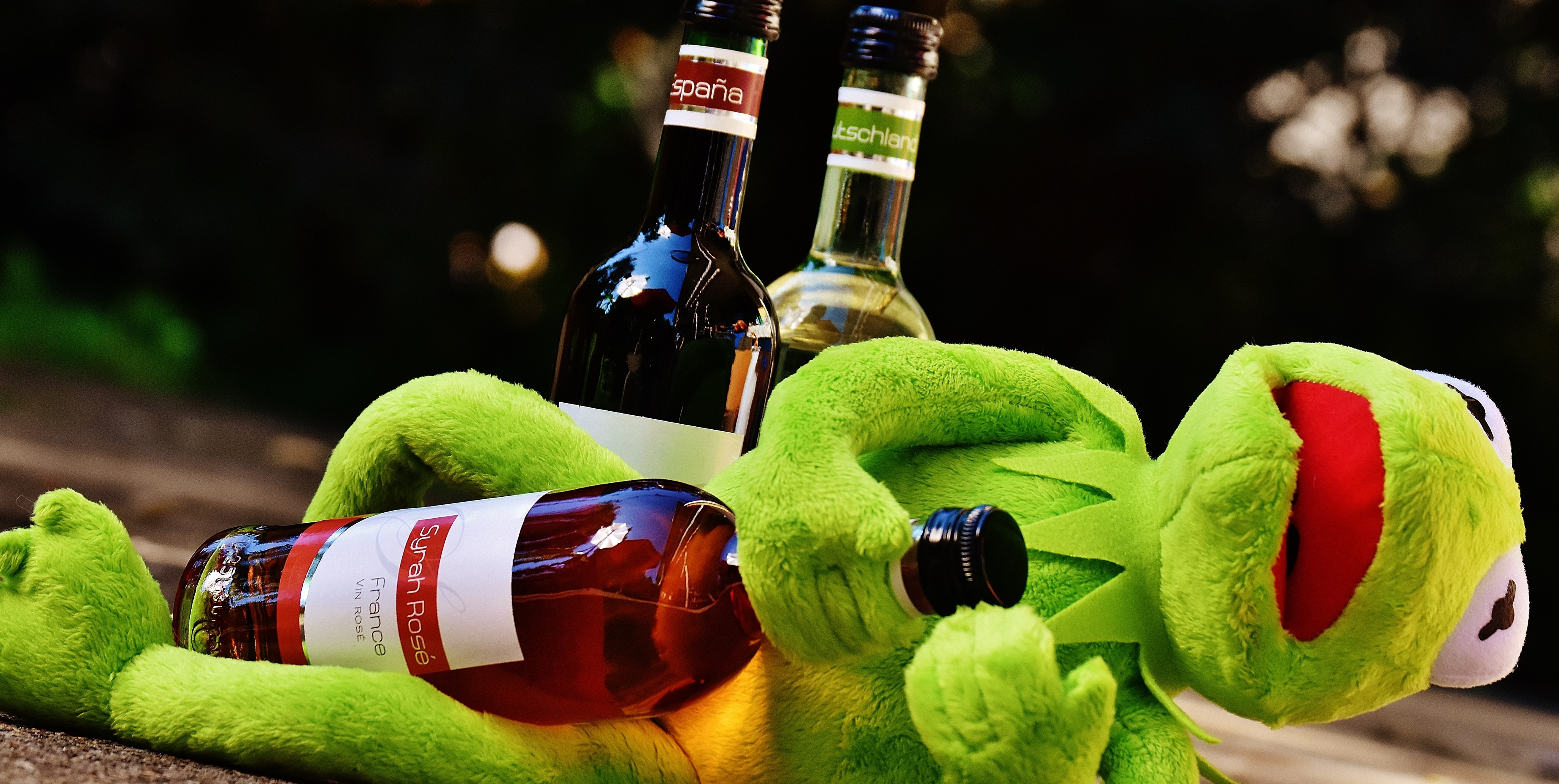 container, focus on foreground, green color, france, glass - material, day, celebration, figure, no people, close-up, spain, refreshment, frogs, beer bottle, HD Wallpaper