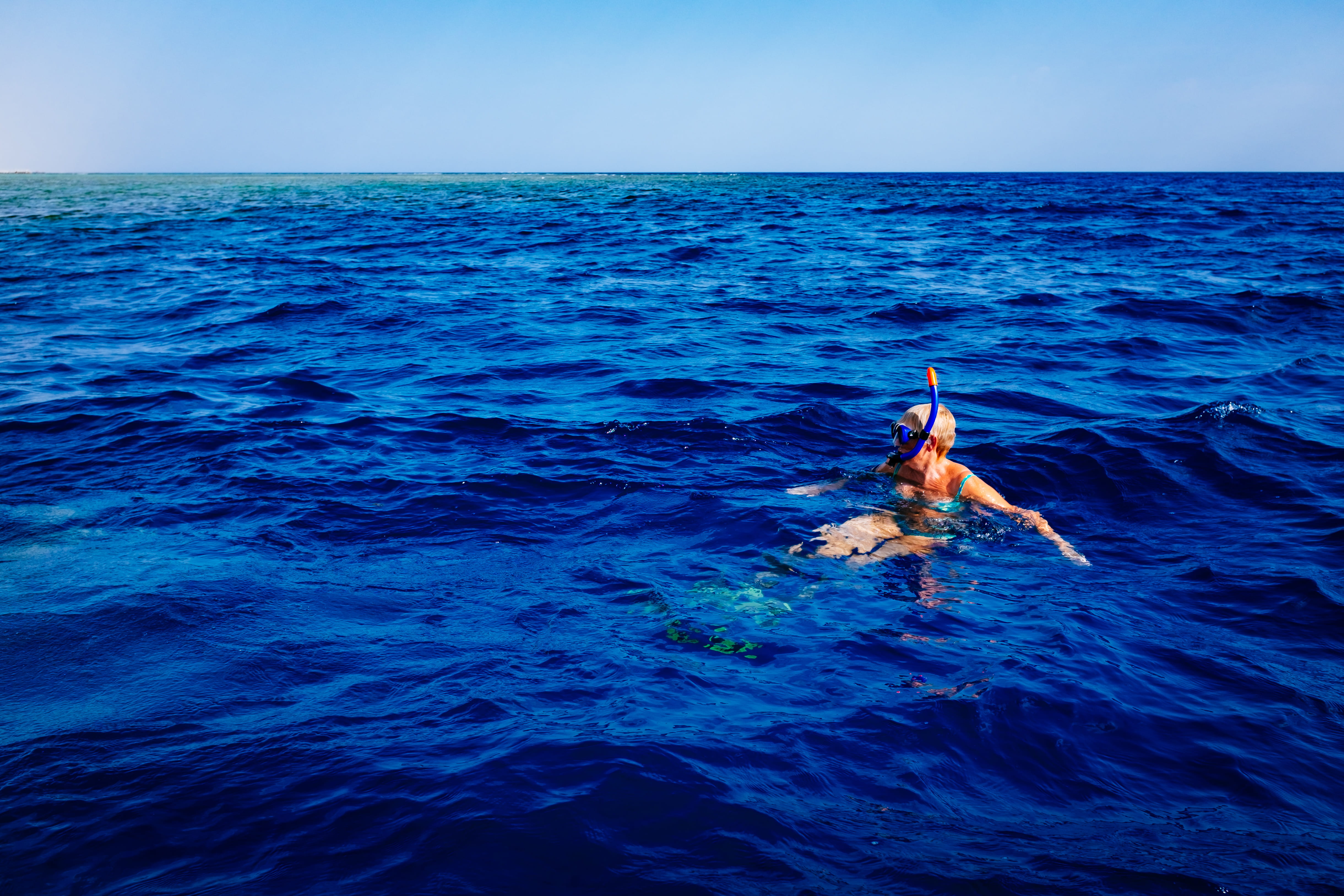 day, 4K, scenics - nature, waterfront, animal, blue, horizon, swimming, marine, nature, seascape, motion, outdoors, snorkling, leisure activity, sea, wave, HD Wallpaper