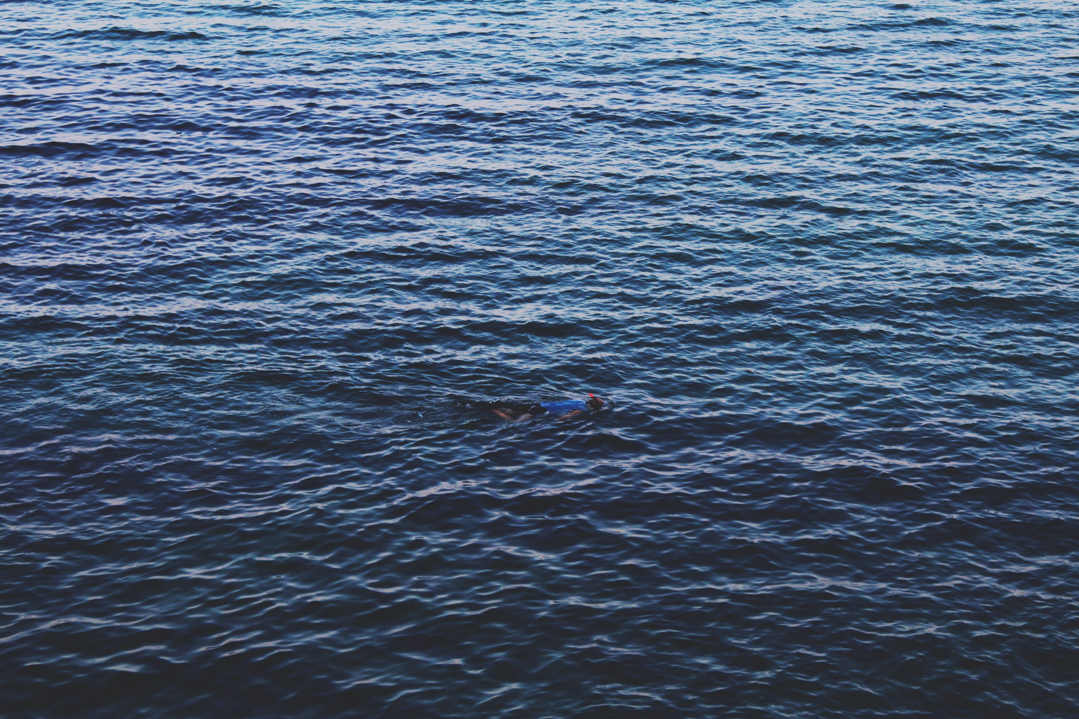 swim, body of water, full frame, scenics - nature, high angle view, snorkling, no people, day, reflection, abstract, vertebrate, sea, rippled, backgrounds, HD Wallpaper